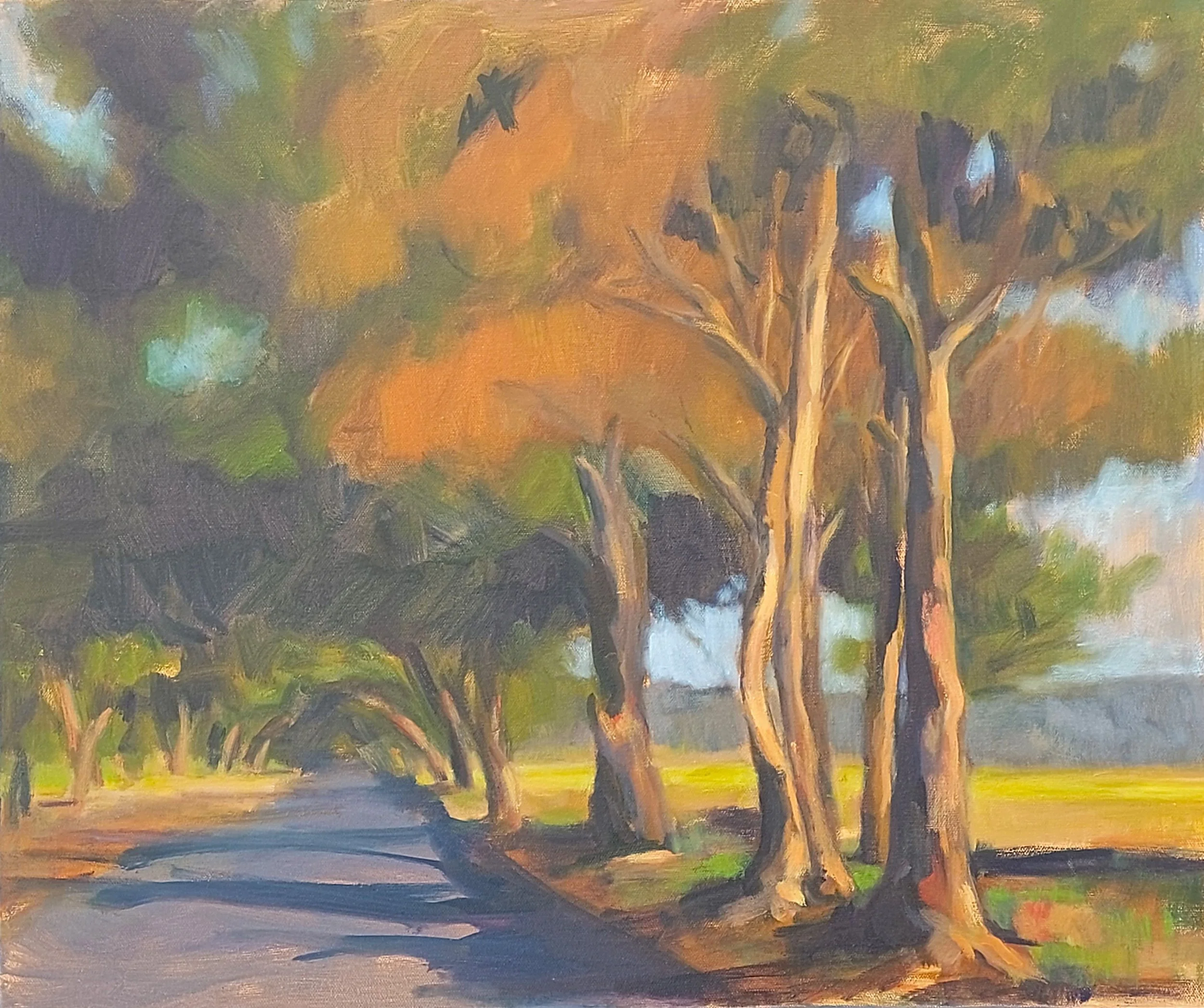  BACK ROADS    Oil on canvas   63x53cm  Bernadette Woodward  $450