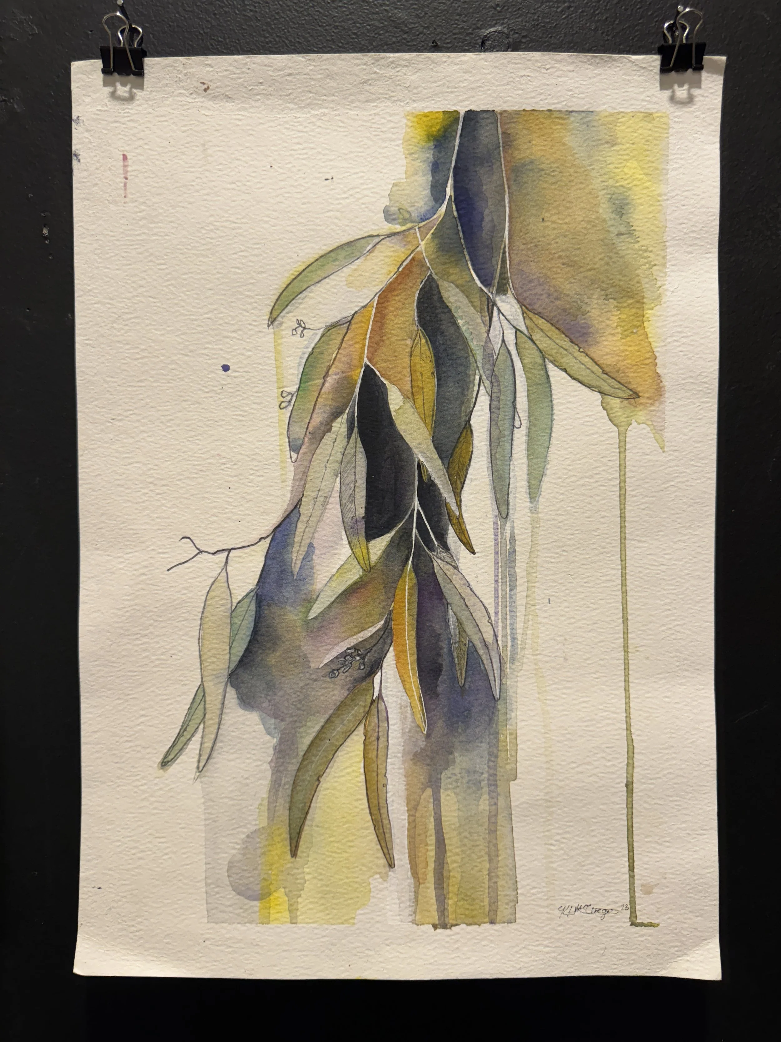 Leaf Study No. 1, Mixed Media on Paper, 29.7 x 42cm, Kirstie McGregor, $150