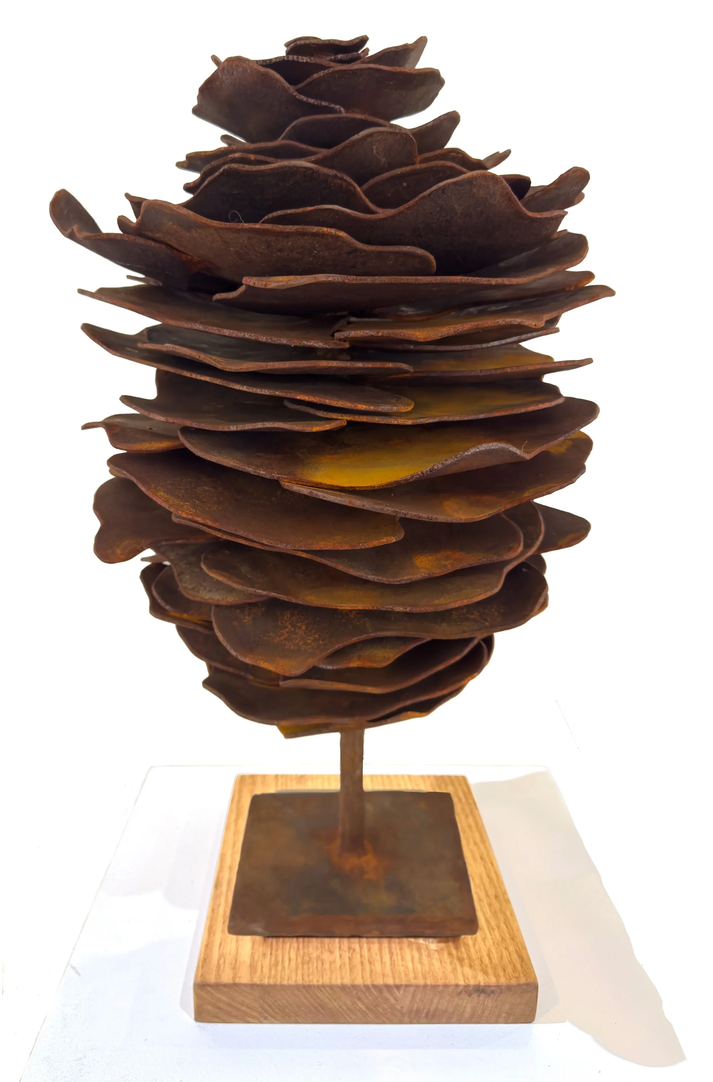 ORIGINAL SEED Corten steel Warren Pickering $2800