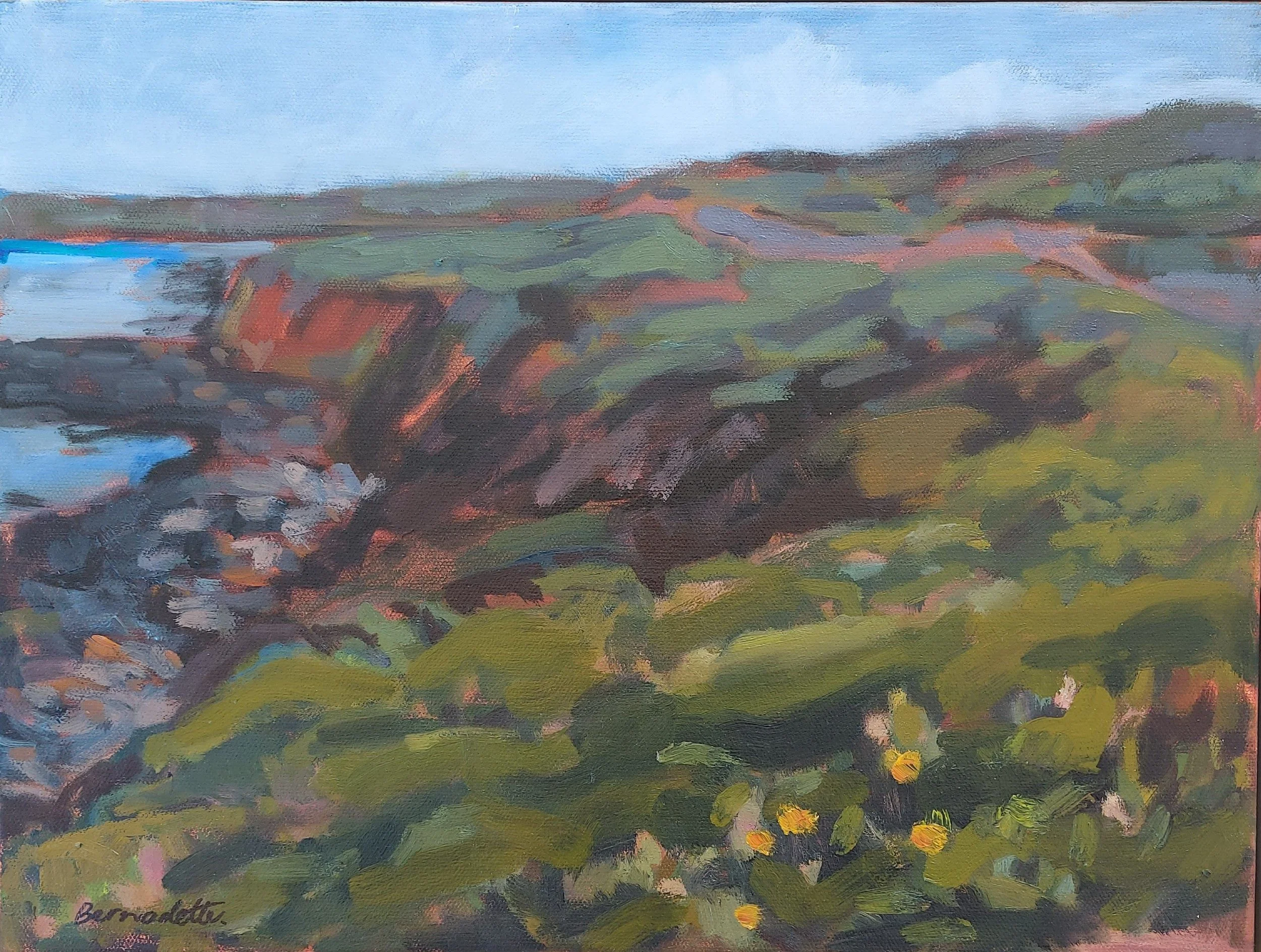  TOWARD PETREL COVE    Oil on canvas   43x33cm  Bernadette Woodward  $350 SOLD