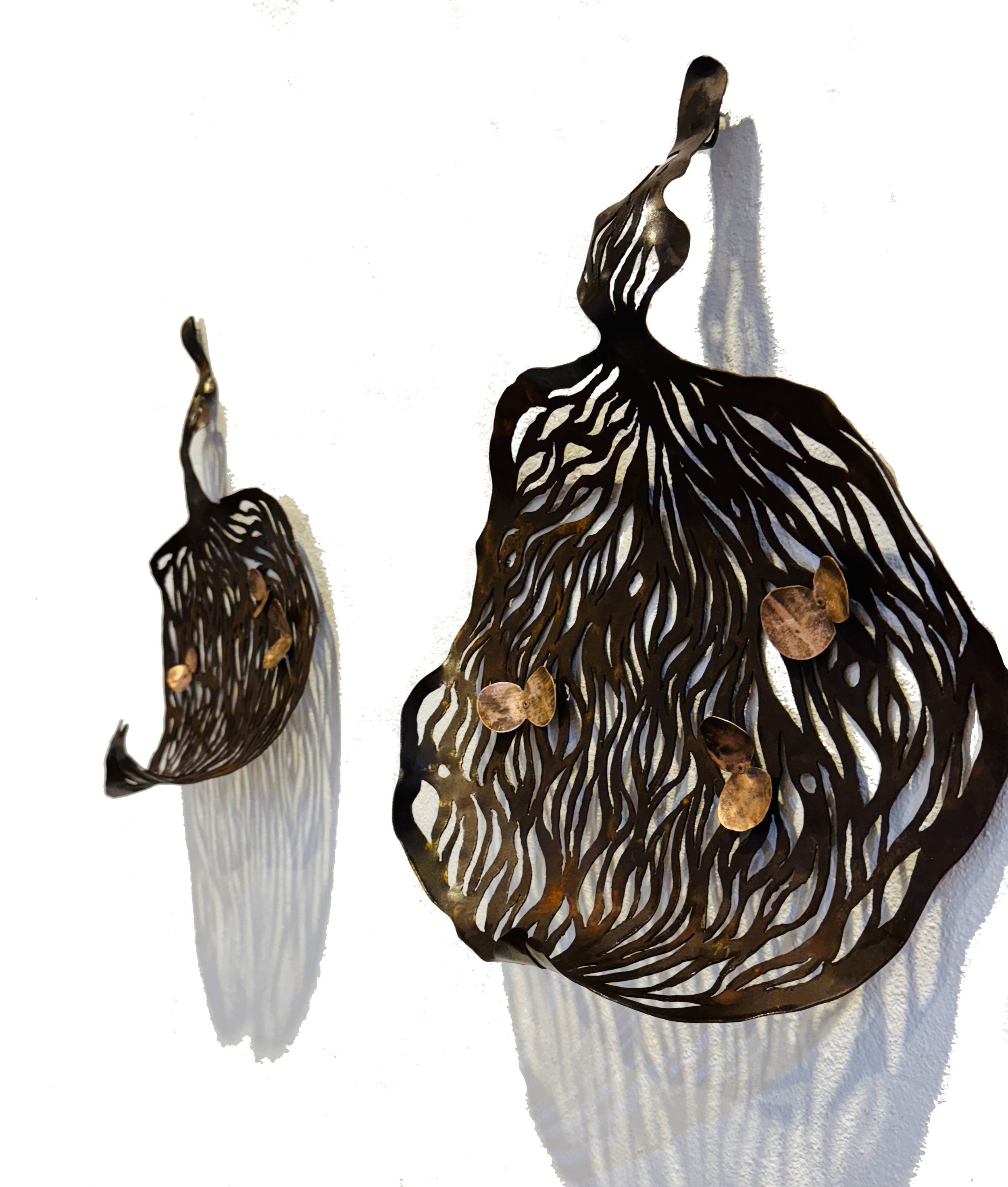 NATIVE KURRAJONG #1 & #2 Mild steel & copper 50 x 45cm each by Anna Small $800 for pair