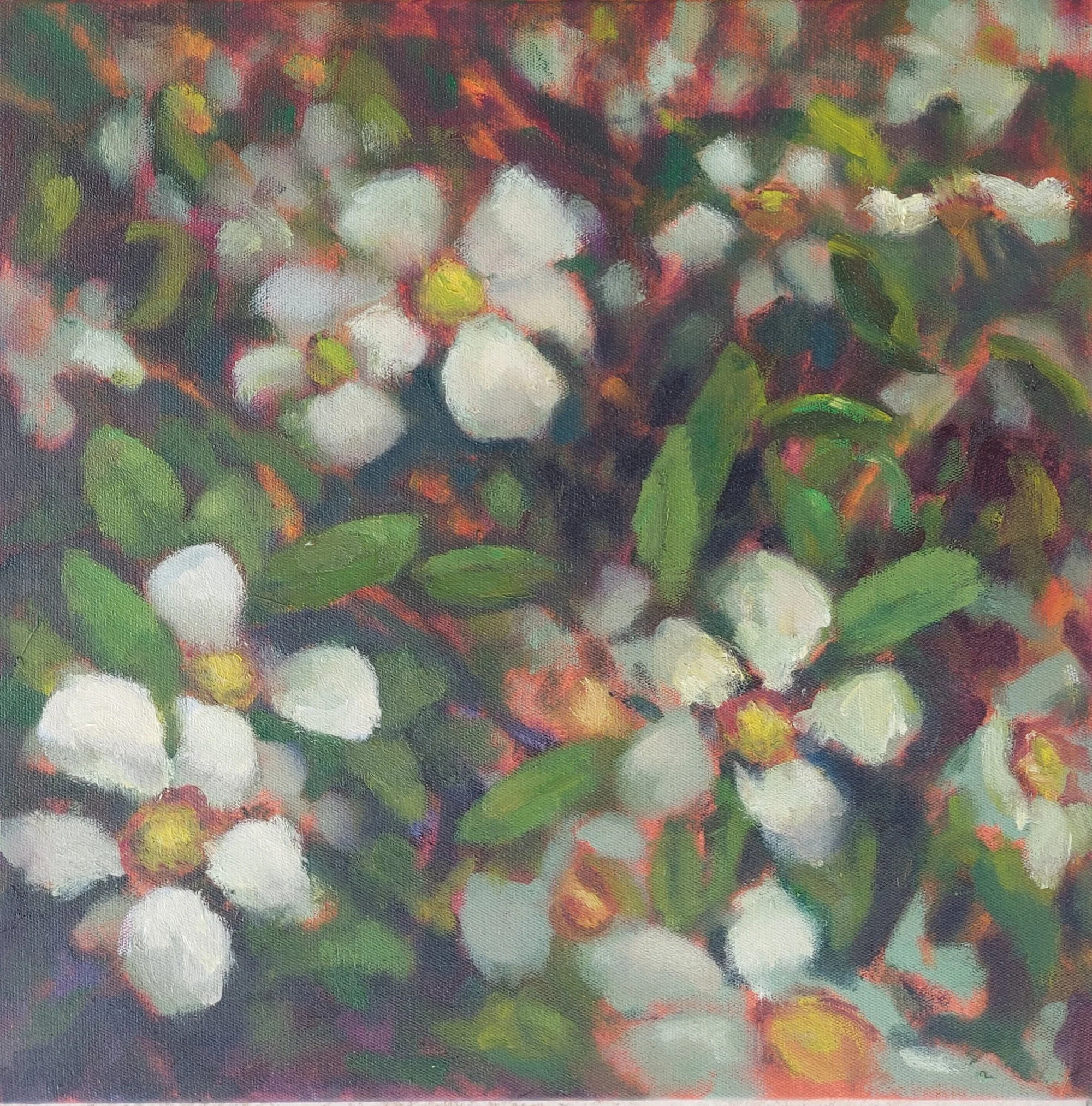 COASTAL TEATREE oil on canvas in oak frame, 30x30cm, Bernadette Woodward, $350
