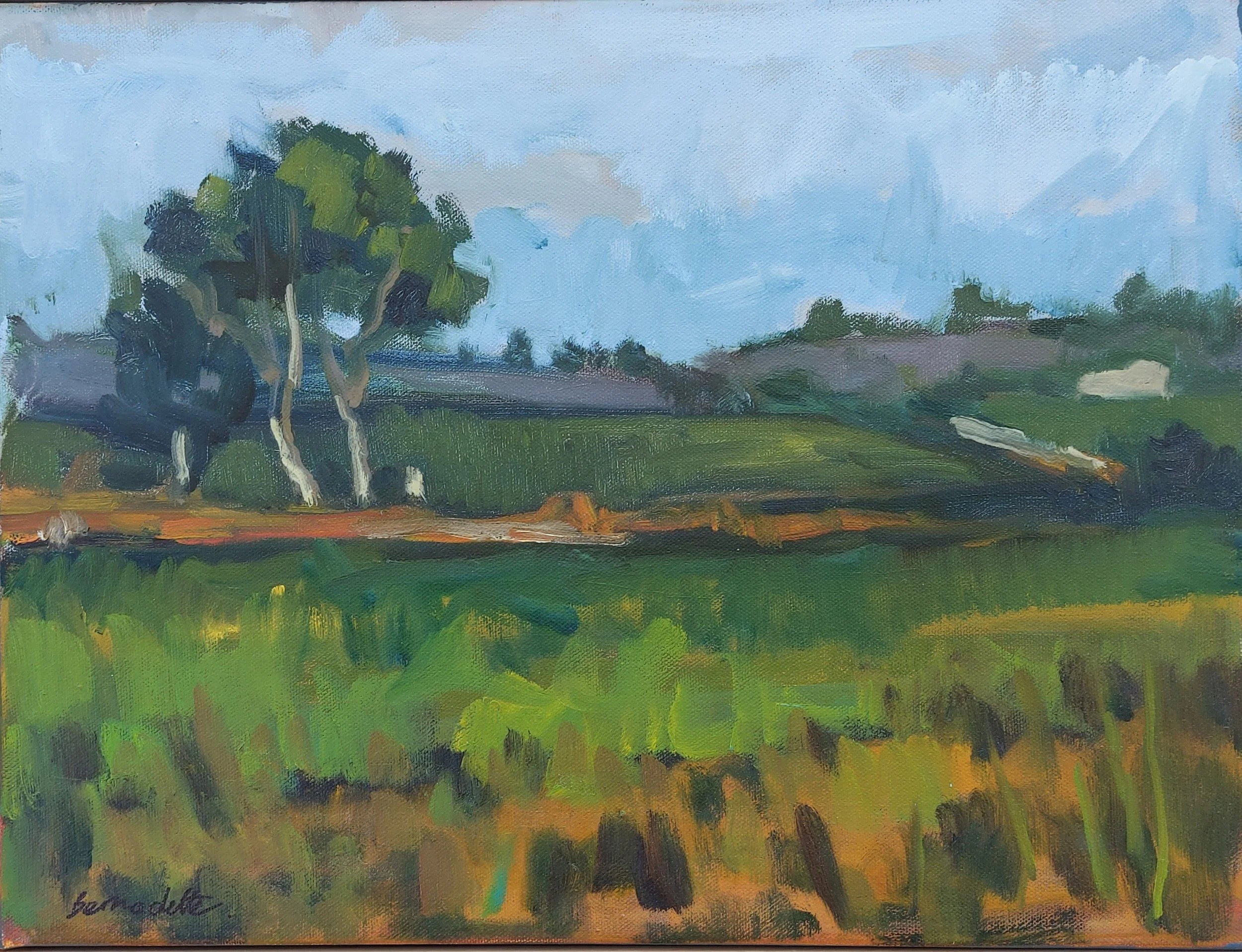  FLEURIEU VIEW    Oil on canvas   43x33cm  Bernadette Woodward  $350