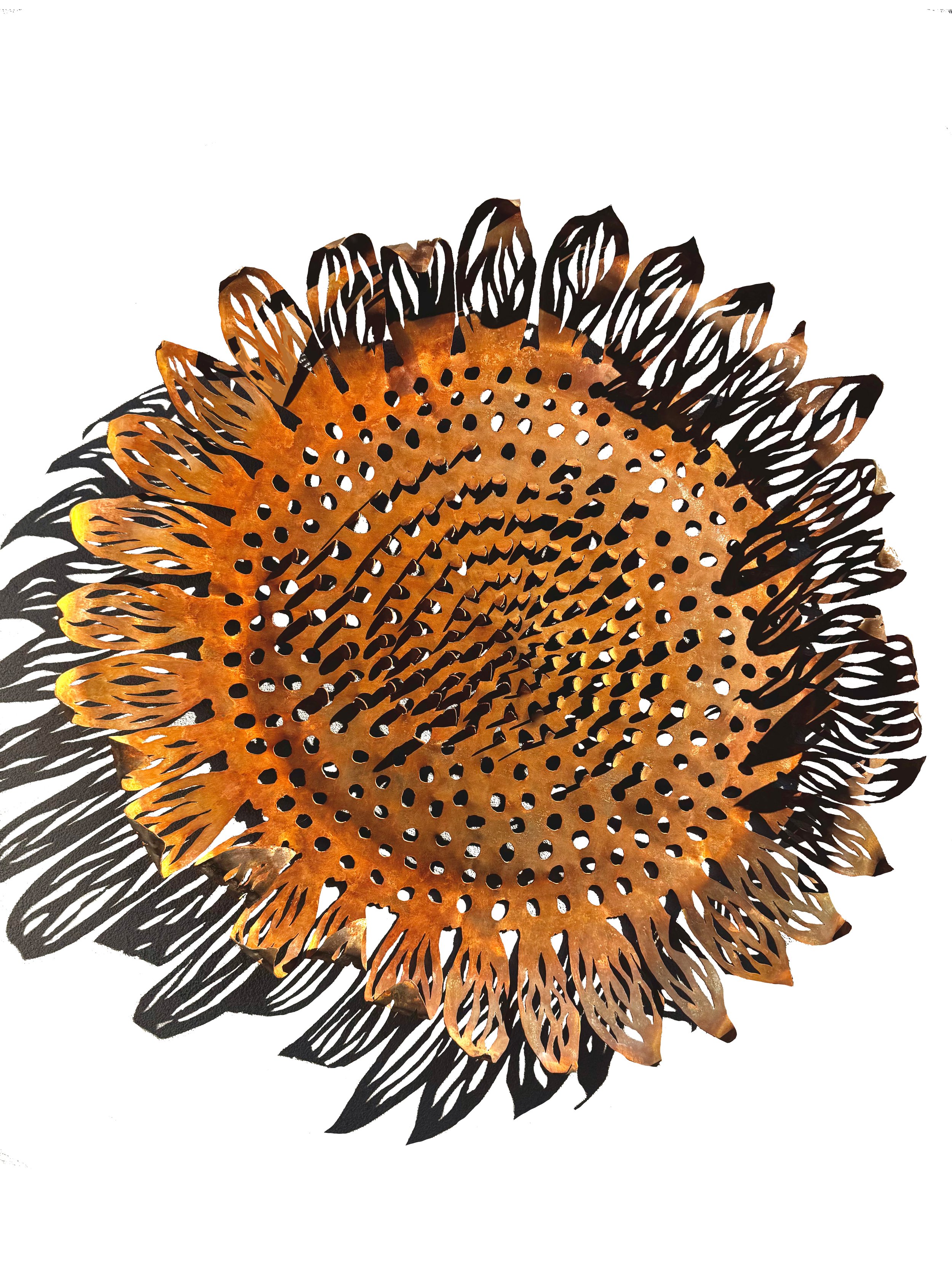 LARGE SUNFLOWER, Mild steel, 95 x 95cm by Anna Small $1450