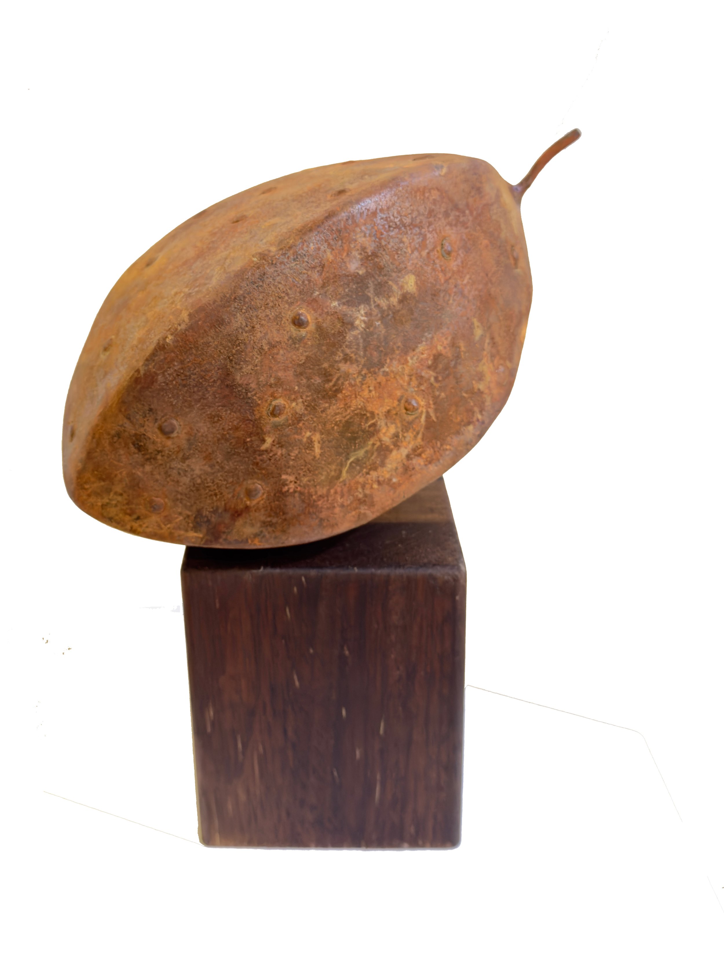 LIFE OF BRIAN, Mild steel & merbau, 30 x 20 x 17cm by Warren Pickering $320 SOLD