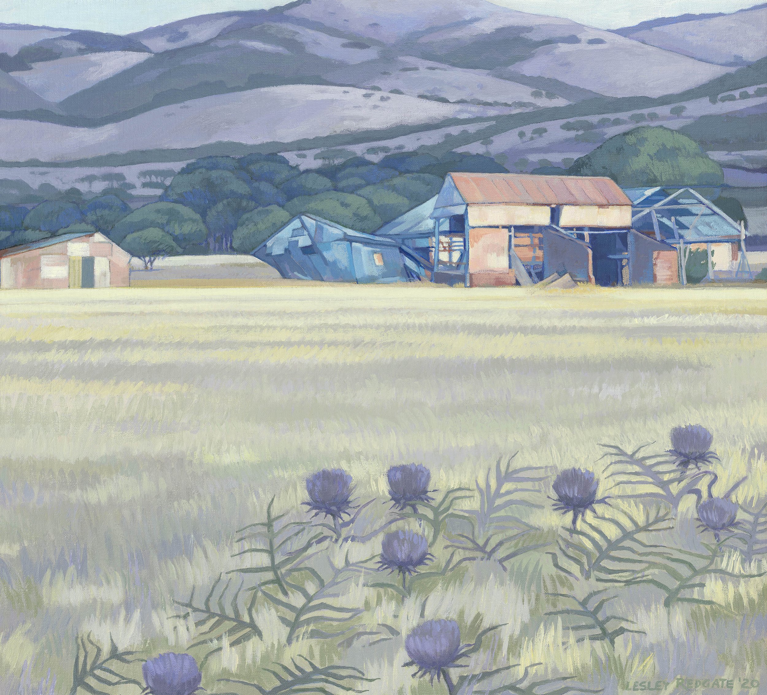  ROGERS ROAD BARNS - LATE IN THE DAY   Acrylic on Belgian linen  Lesley Redgate 56 x 61cm $4,500
