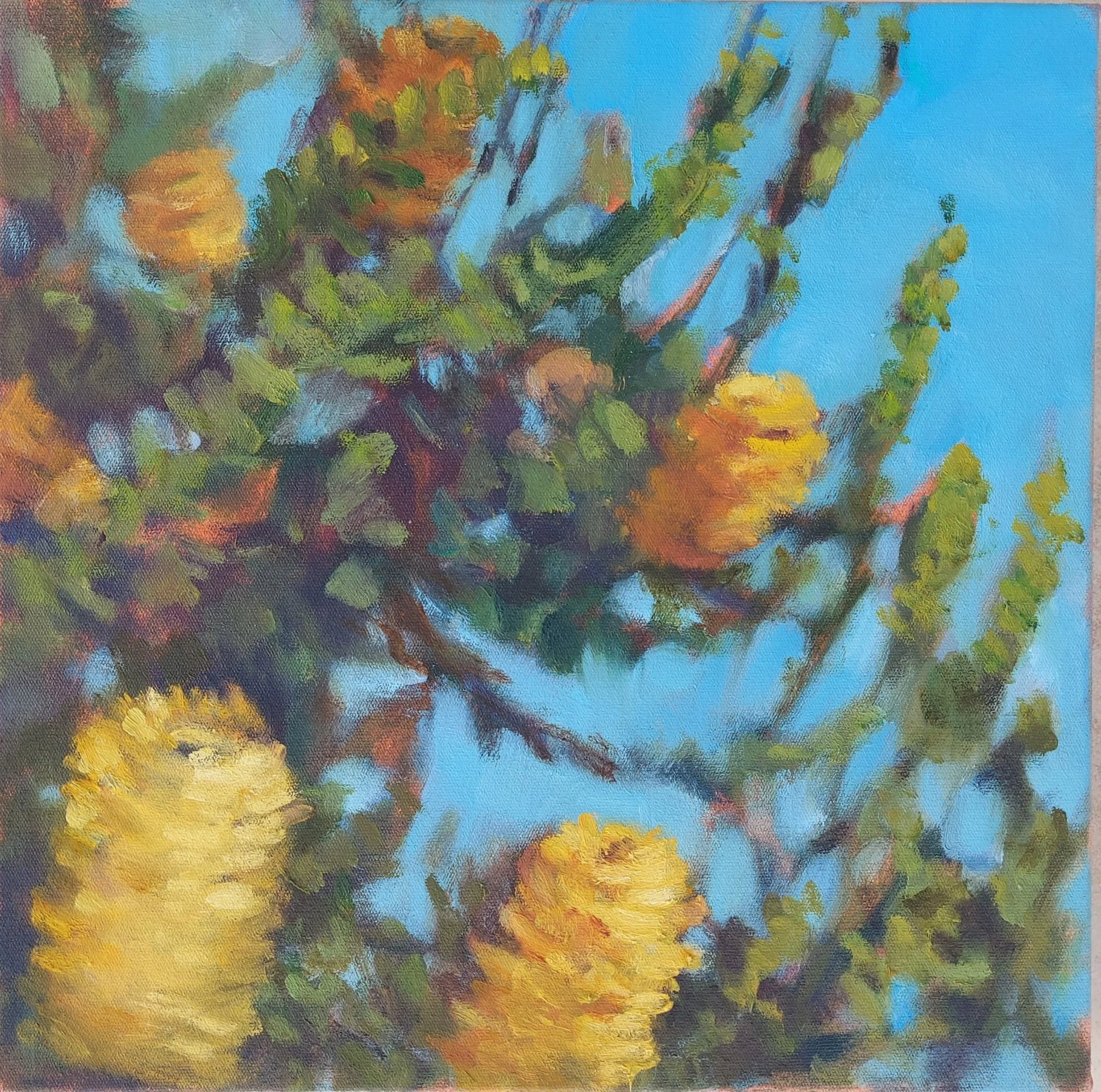 BANKSIA oil on canvas in oak frame, 30x30cm, Bernadette Woodward, $350