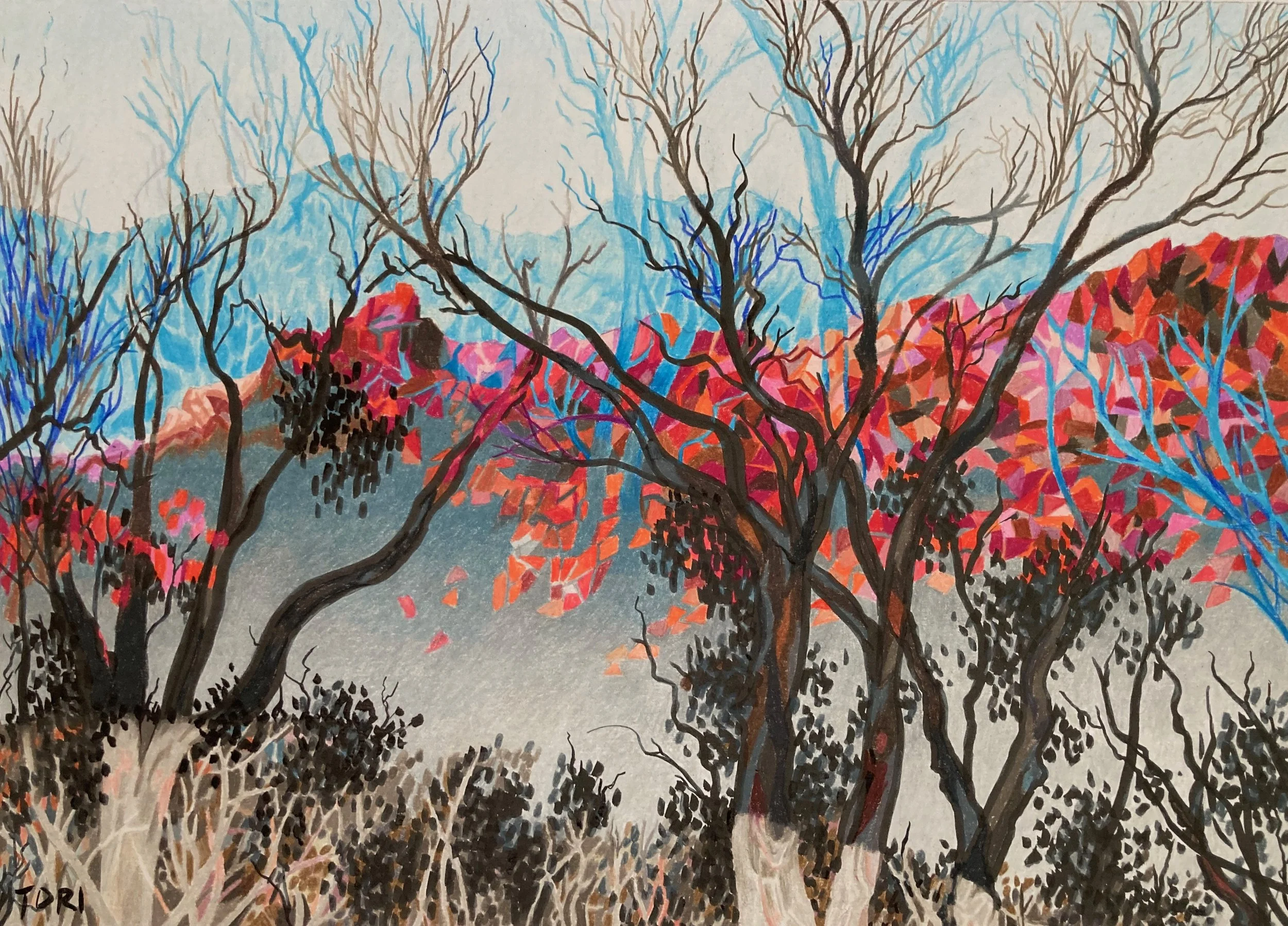 ARKAROOLA HILLS 1