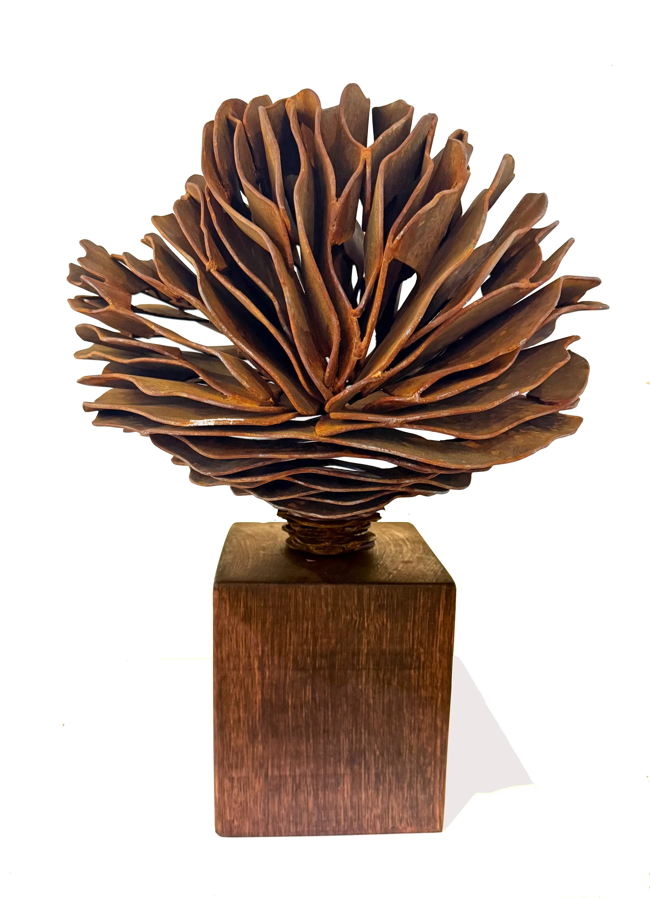 FLOW Corten steel Warren Pickering $3200