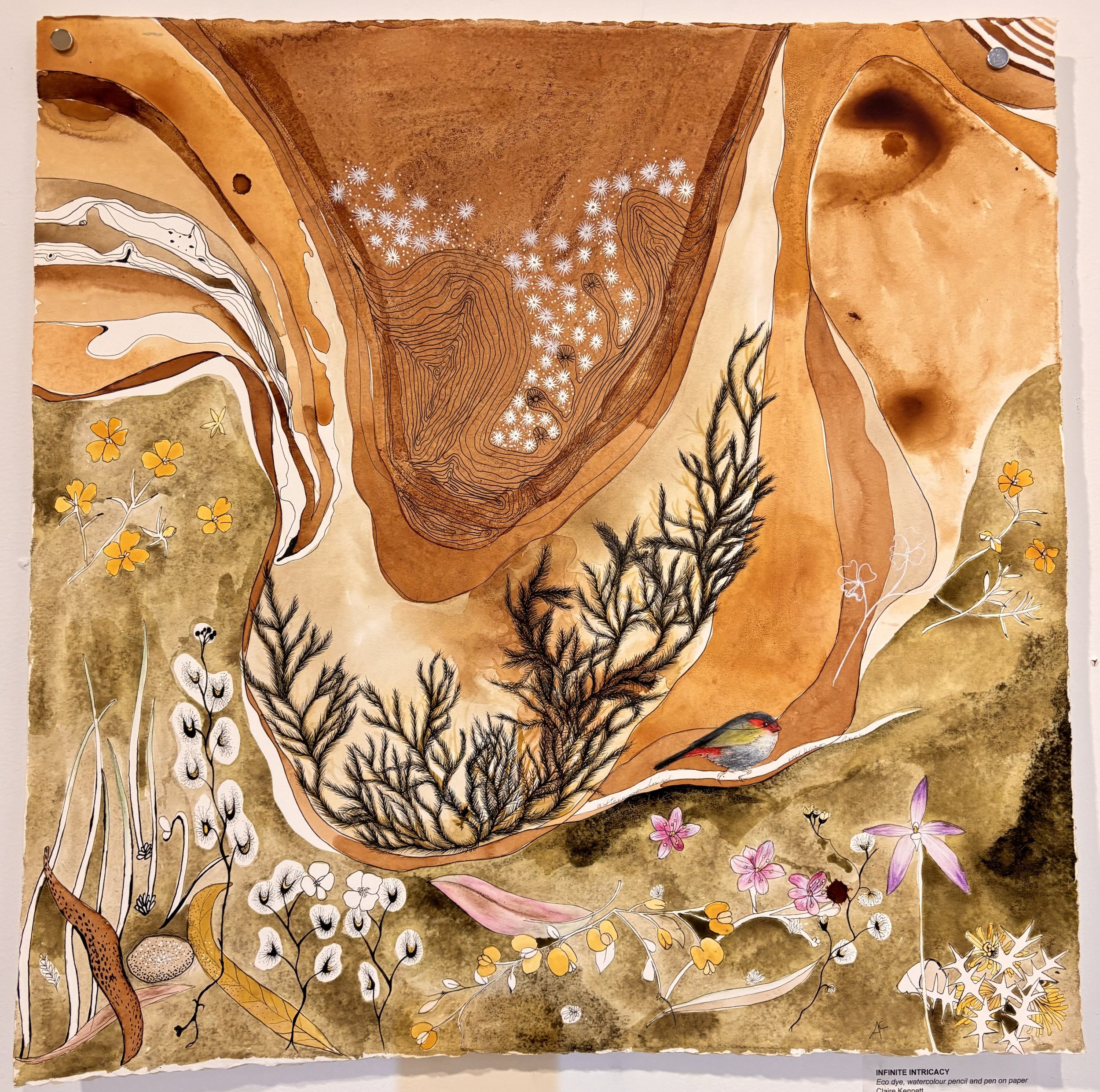 Infinite Intricacy, Eco Dye, Watercolour Pencil and Pen on Paper, Claire Kennett, $650