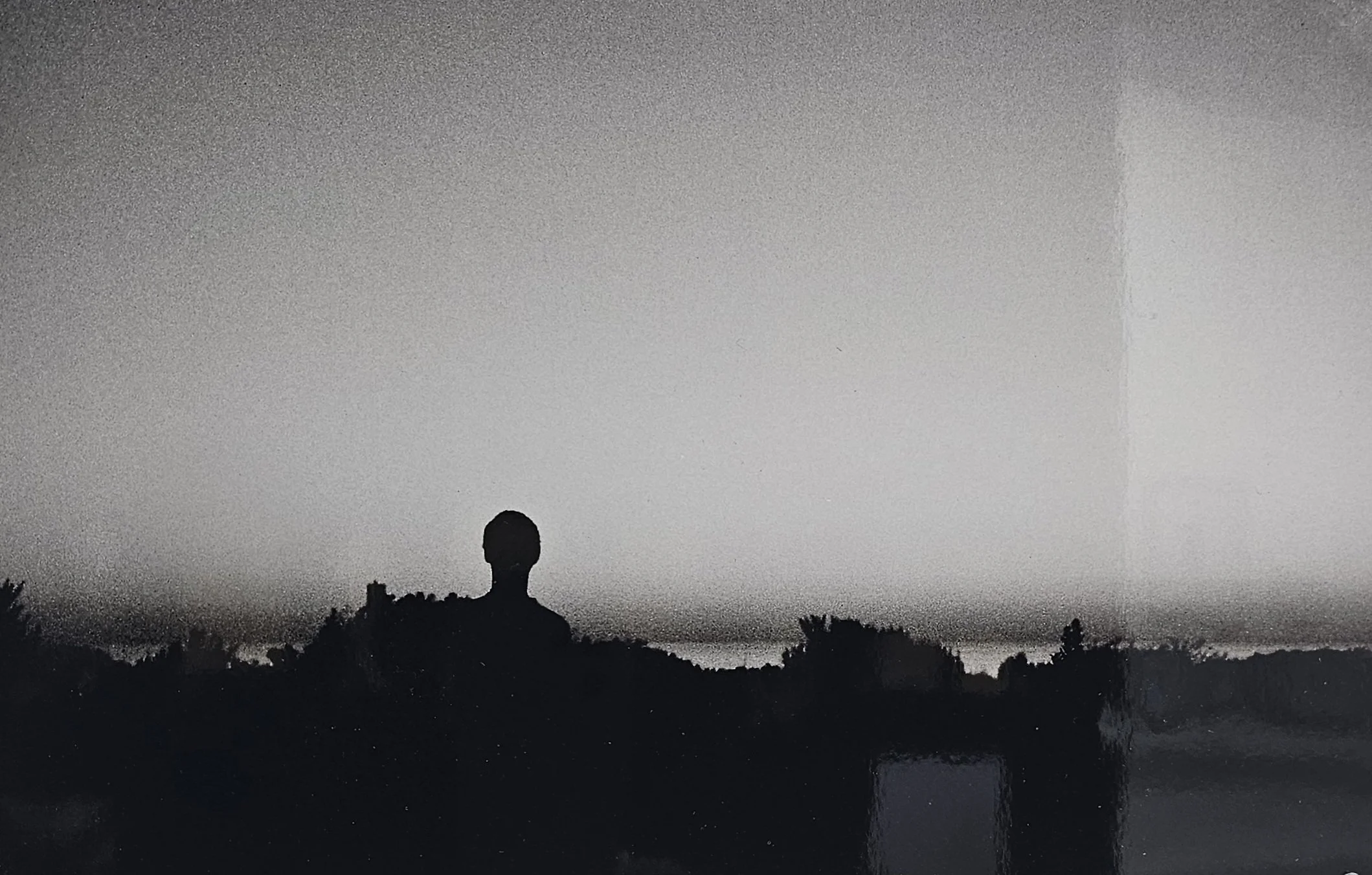  NO.7 SILHOUETTE  $50