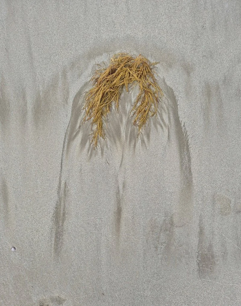 stillness 1