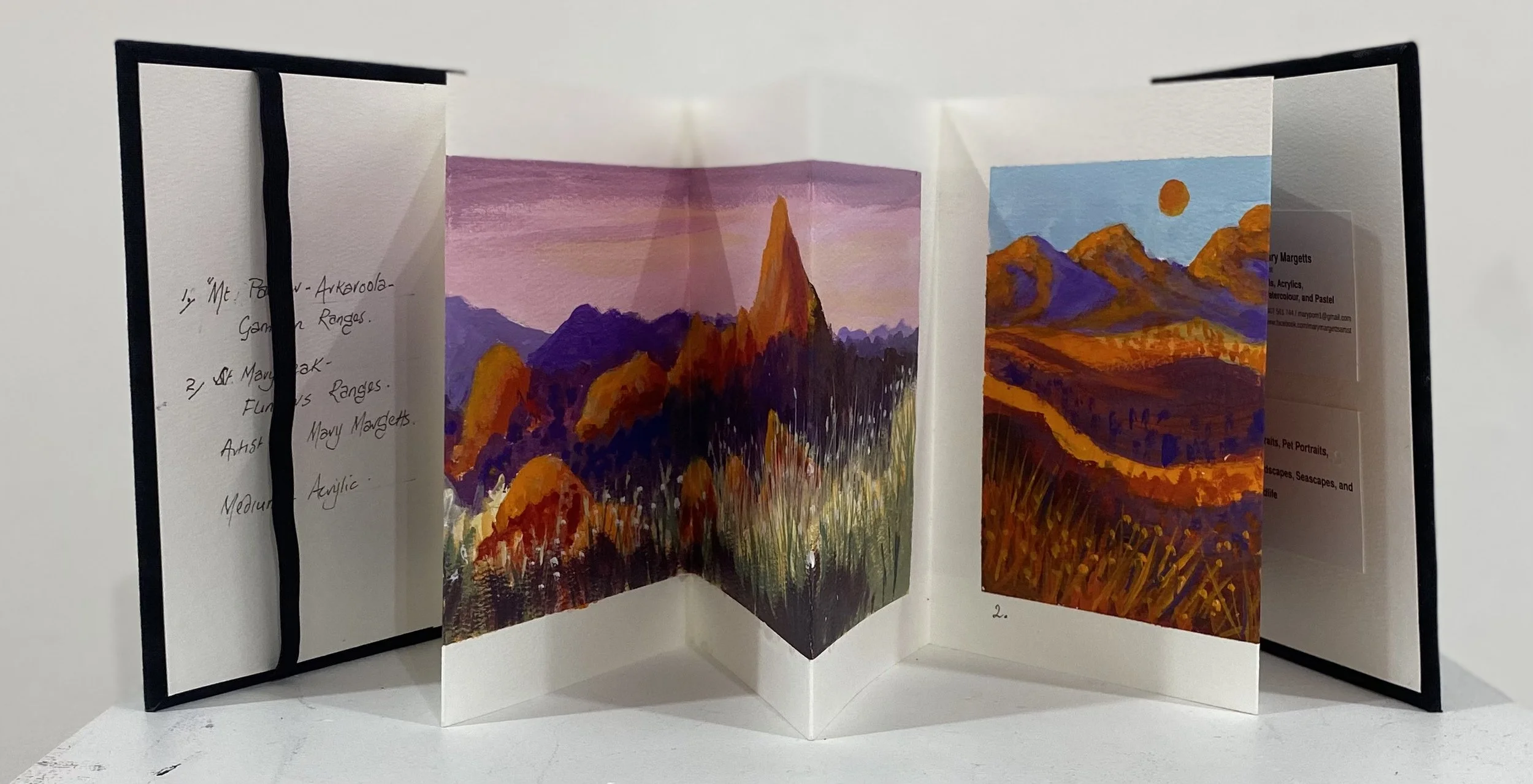  VIEW OF THE FLINDER'S RANGES NO.2      Acrylic on paper    Mary Margettes  $110