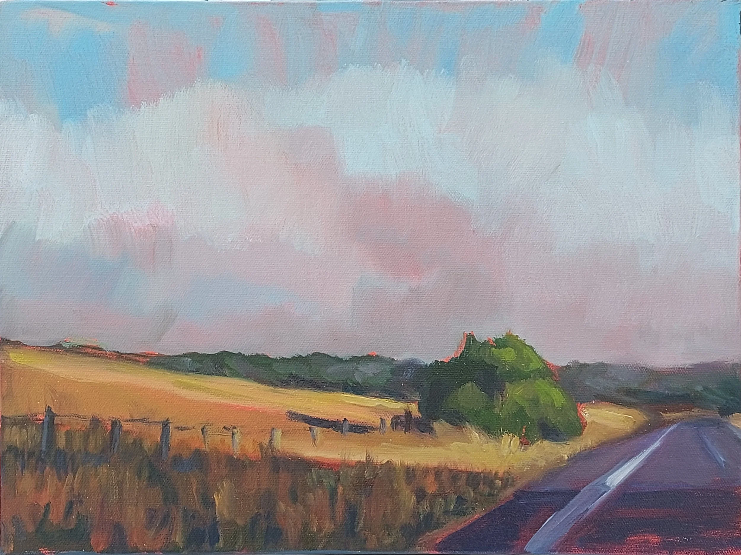  COUNTRY DRIVE    Oil on canvas   43x33cm  Bernadette Woodward  $350