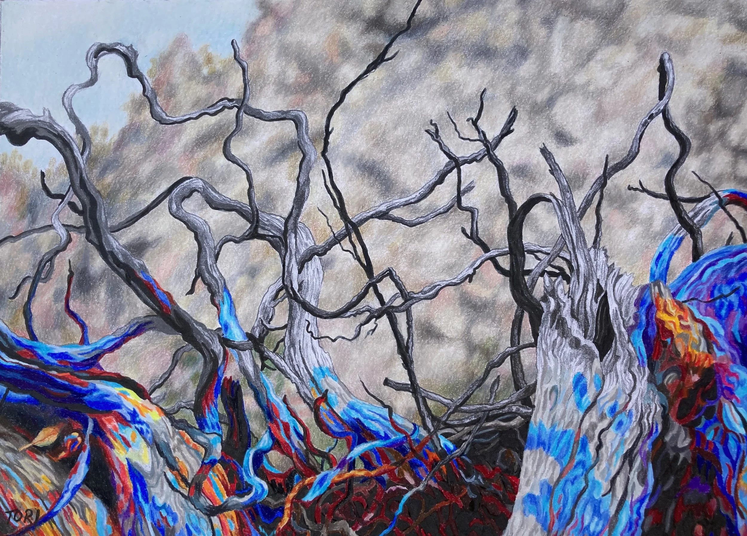 ARKAROOL HILLS 2