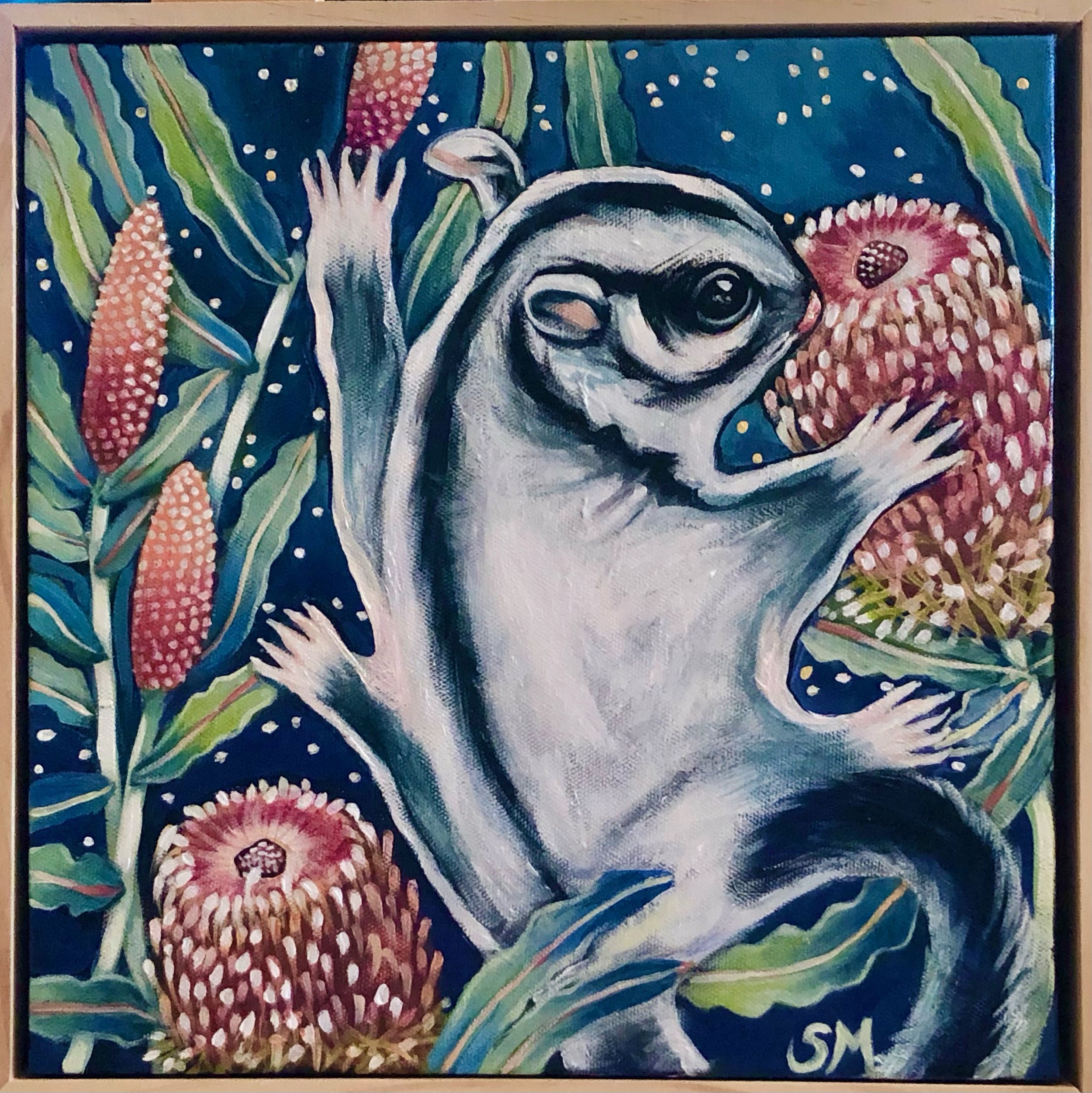 Sugar Glider and Banksias, 30x30cm, Acrylic in canvas, $485