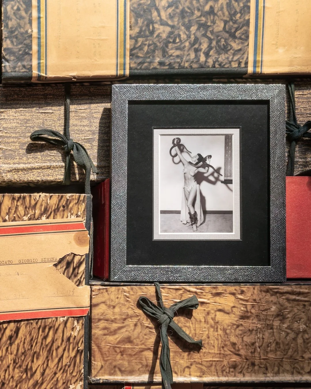 Mackie proudly living The Life of a Showgirl. ✨ ✨ ✨ #bellamoulding #bellaintroductions #bellafall2025 #bellamackie #bobmackie #lifeofashowgirl #taylorswift #fridayframes