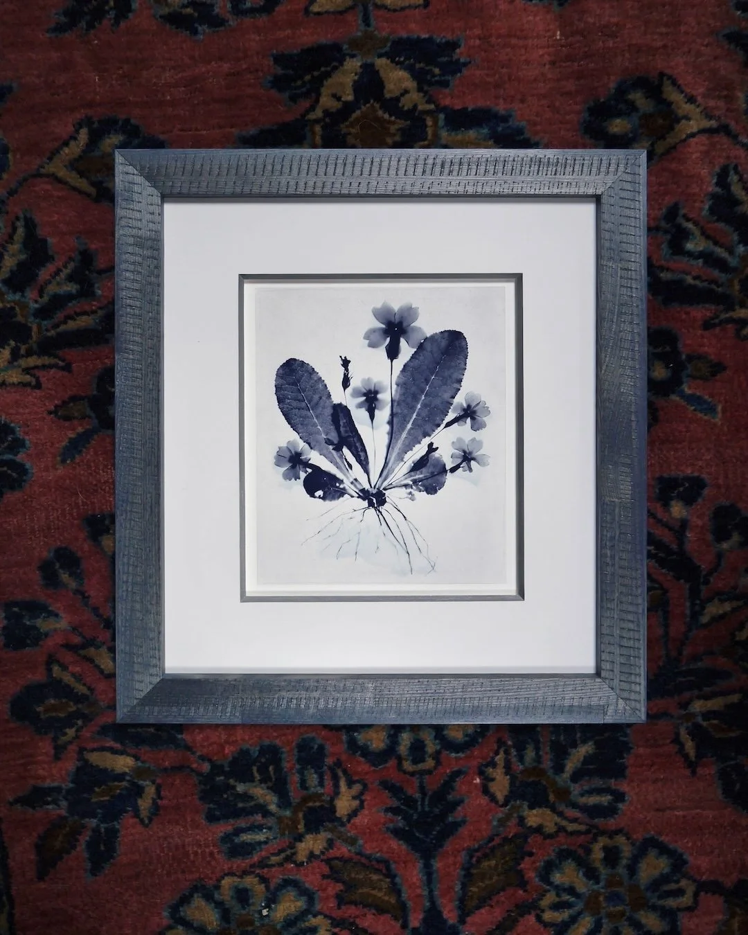 No winter blues here when you've got frames like these. #bellabeautiful #bellamoulding #bellablues #winterblues #winterseason #customframing #customframers #lovethisjob