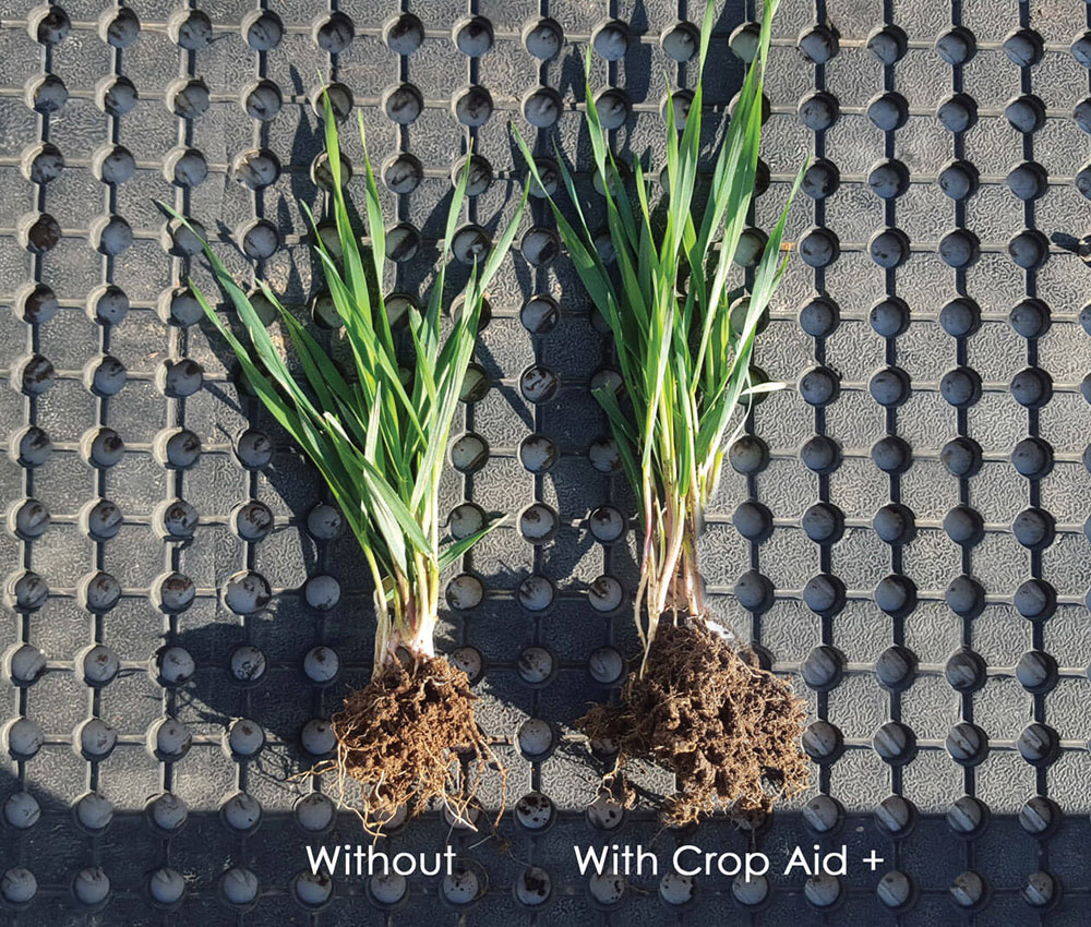 Crop Aid Nutrition Ltd.