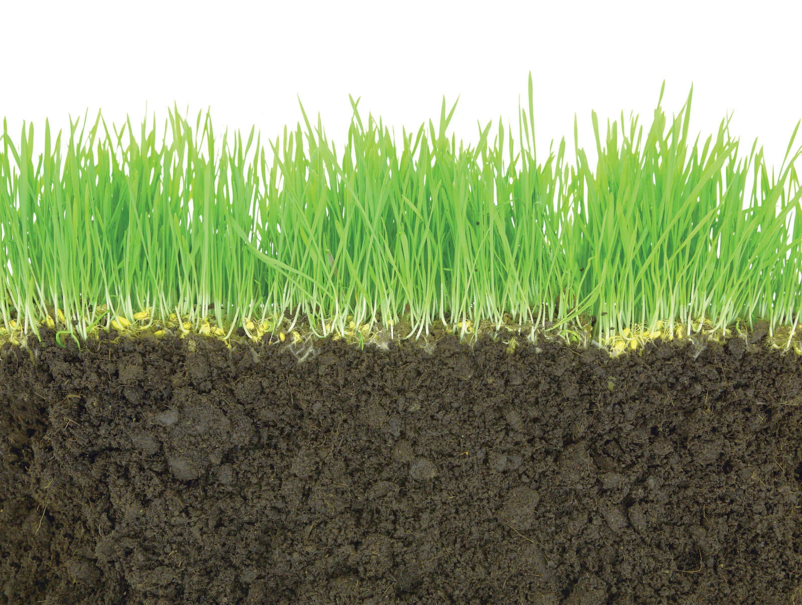 Crop Aid Nutrition Ltd.