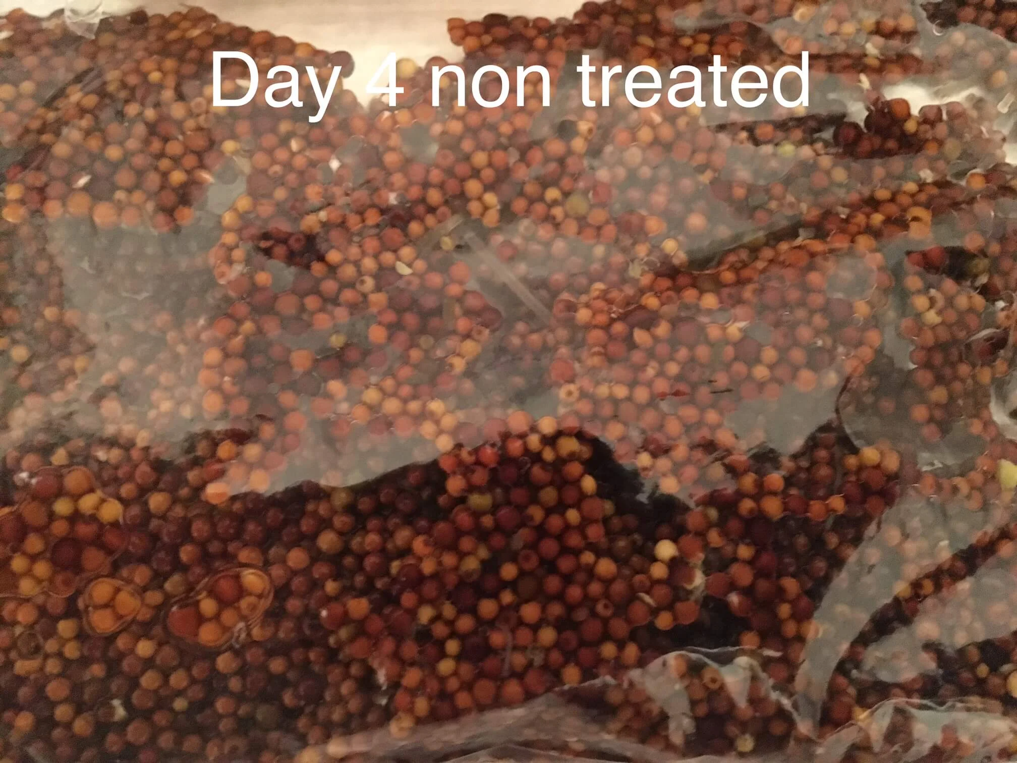 Crop Aid Seed Crop Aid Seed PluS Crop Aid Nutrition Ltd.