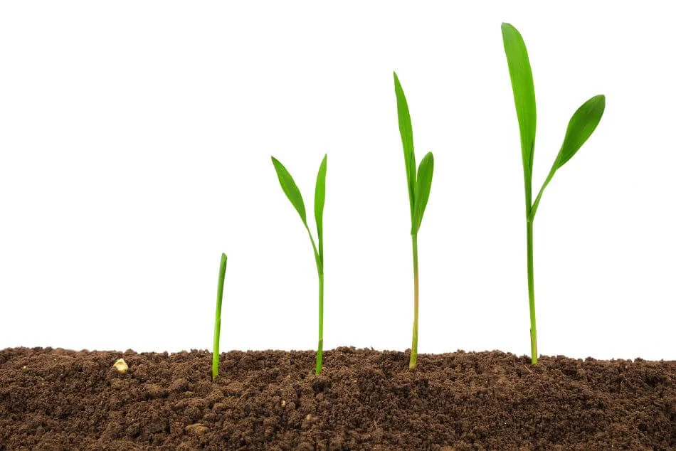 Crop Aid Soil