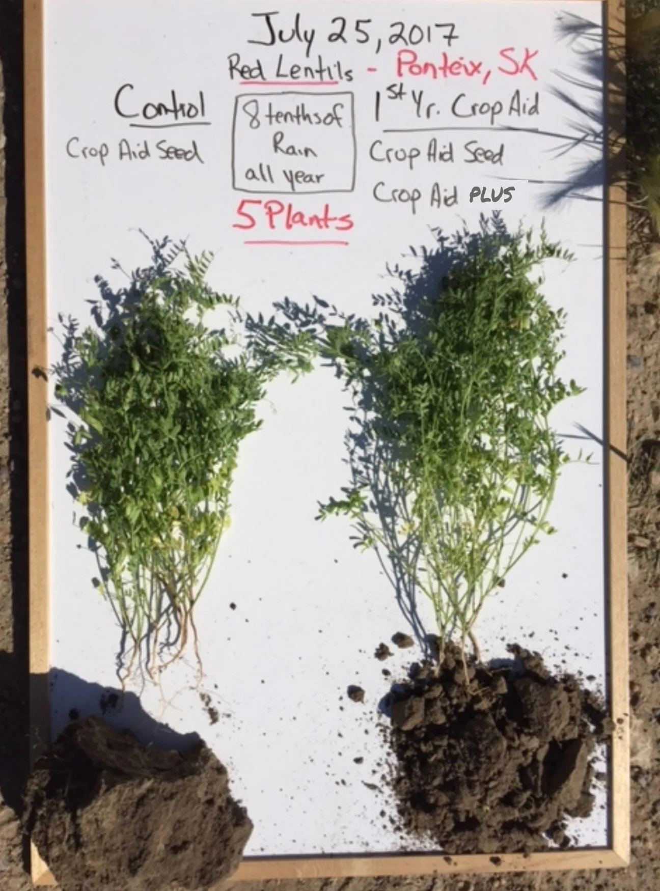 Crop Aid PLUS ™ Crop Aid Nutrition Ltd.