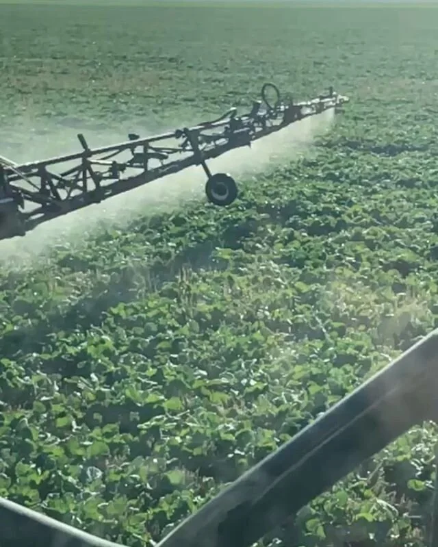 Crop Aid Foliar Fertilizers Crop Aid Nutrition Ltd.