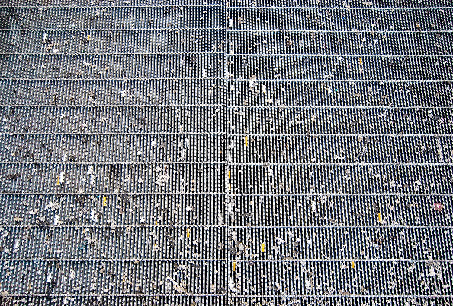 "Grate" - 2006