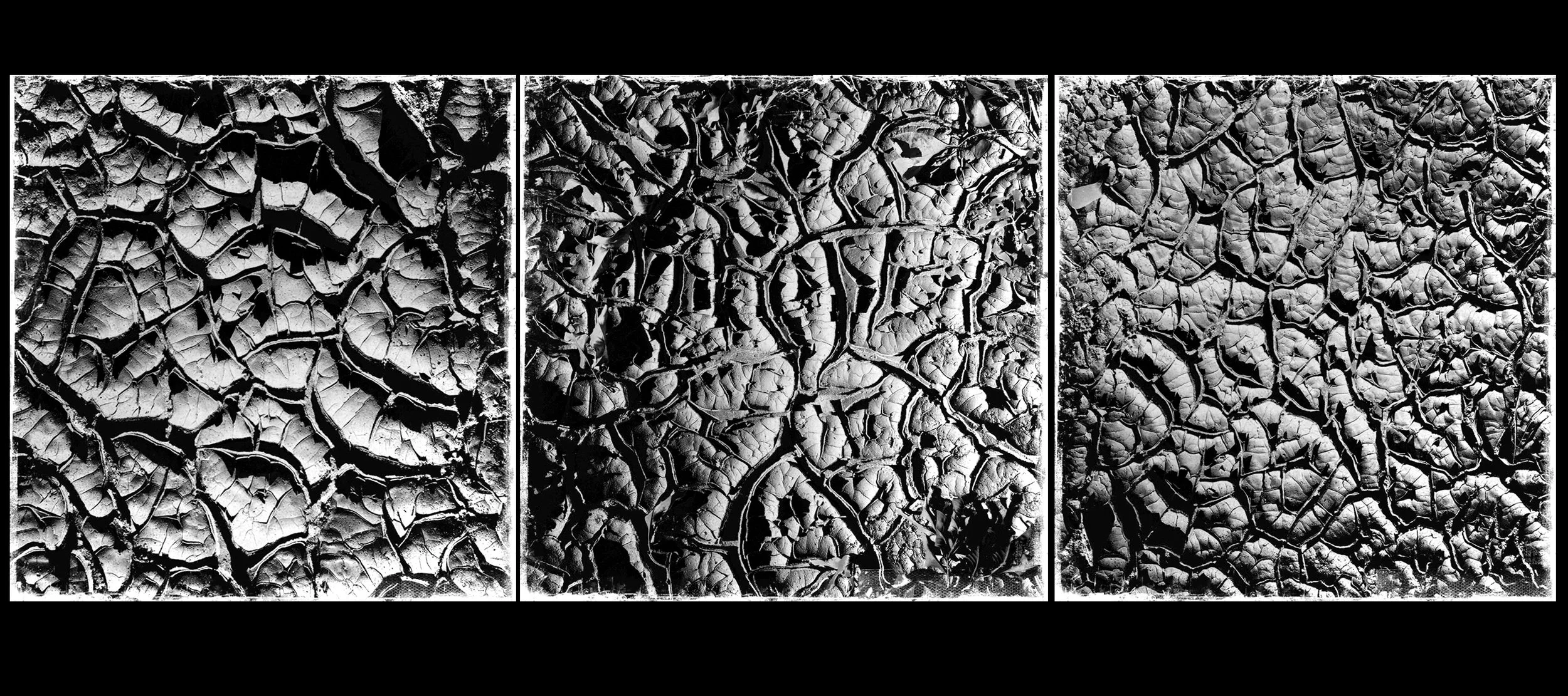 Mud-Panel-1bw.jpg