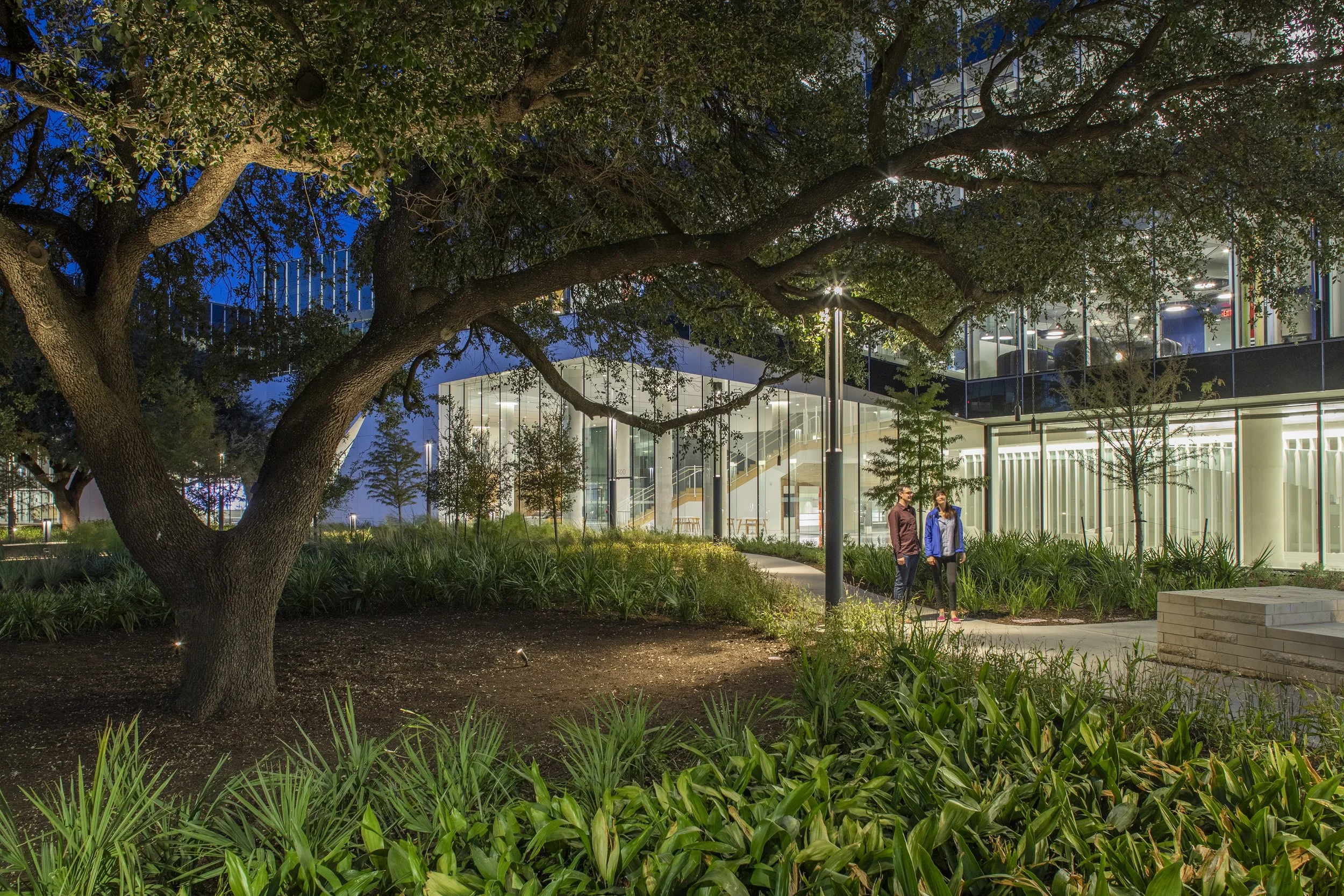 TBG Oracle Lakeside-9549.jpg