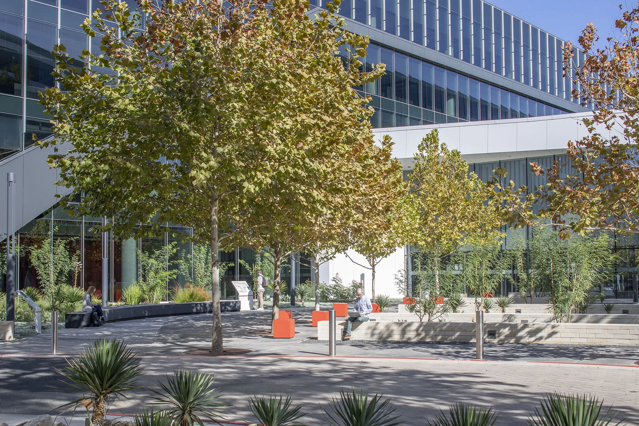 TBG Oracle Lakeside-0515.jpg