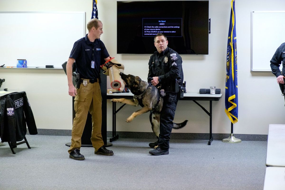 Havoc Pleasant Grove Police