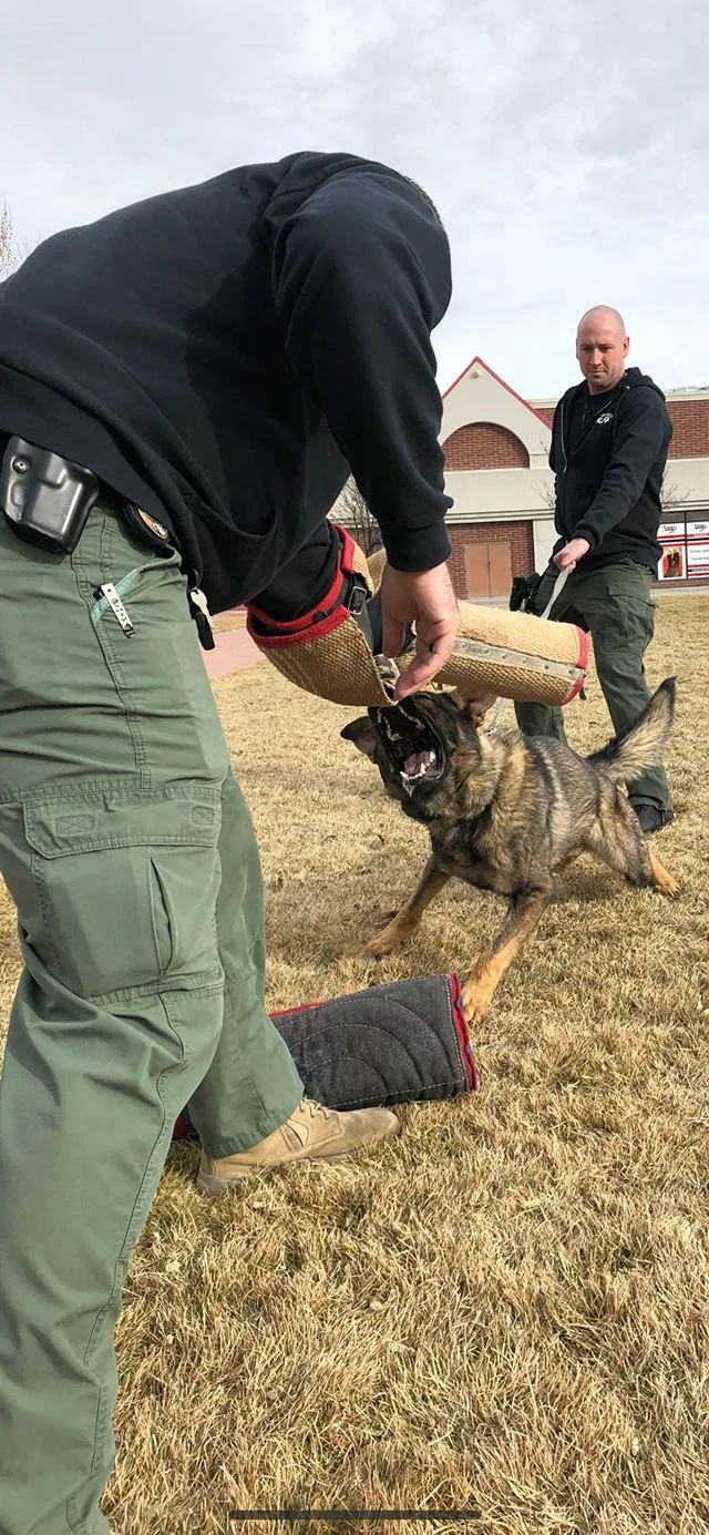 Kane Sandy City Police