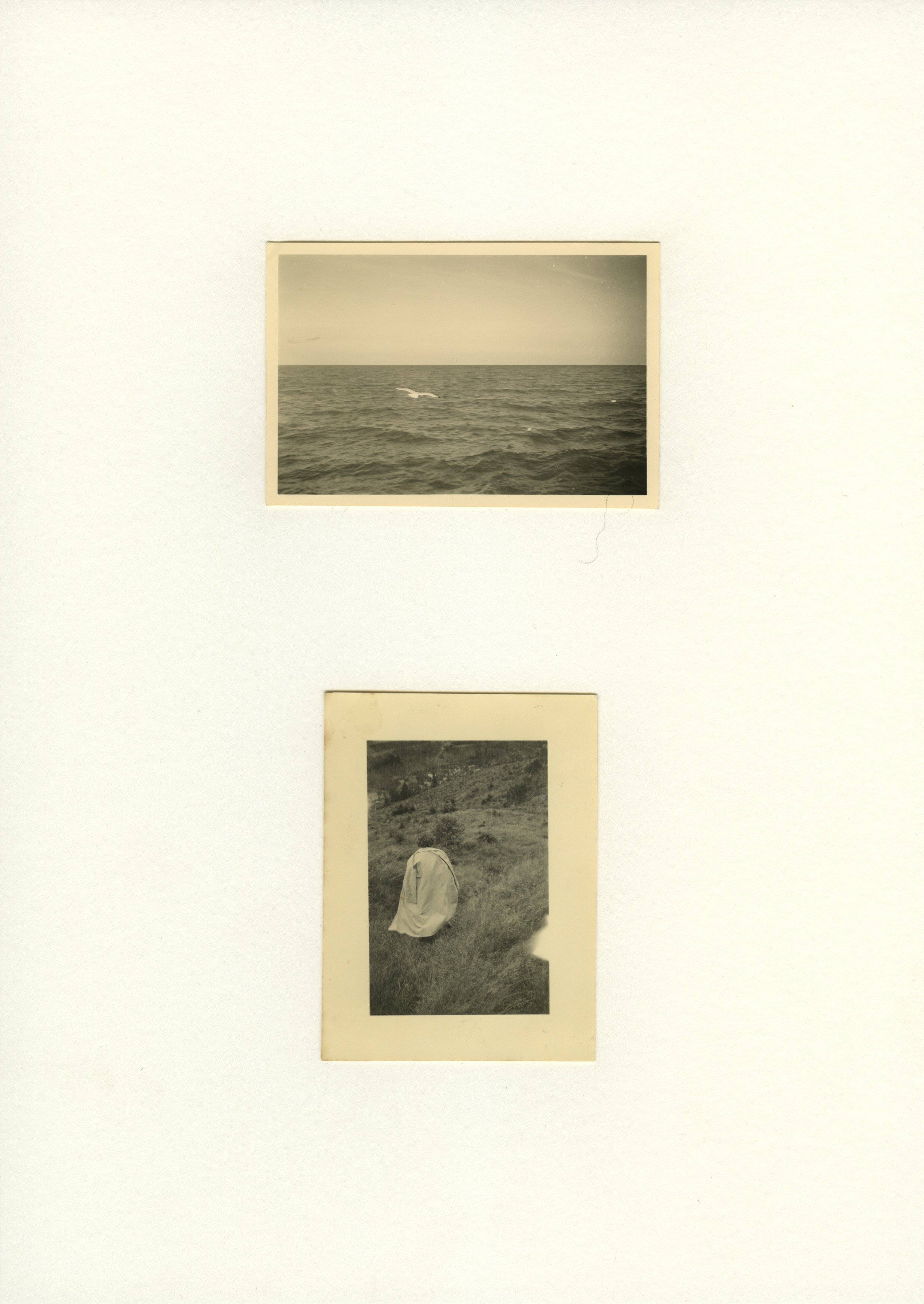 Scan 15.jpeg