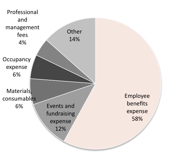 Source: Vision Australia Financial Report for the year ended 30 June 2017