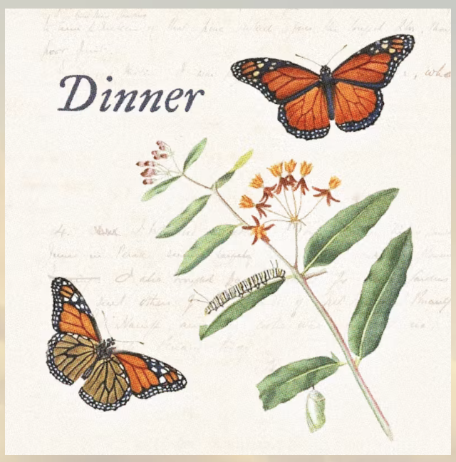 Community Dinner