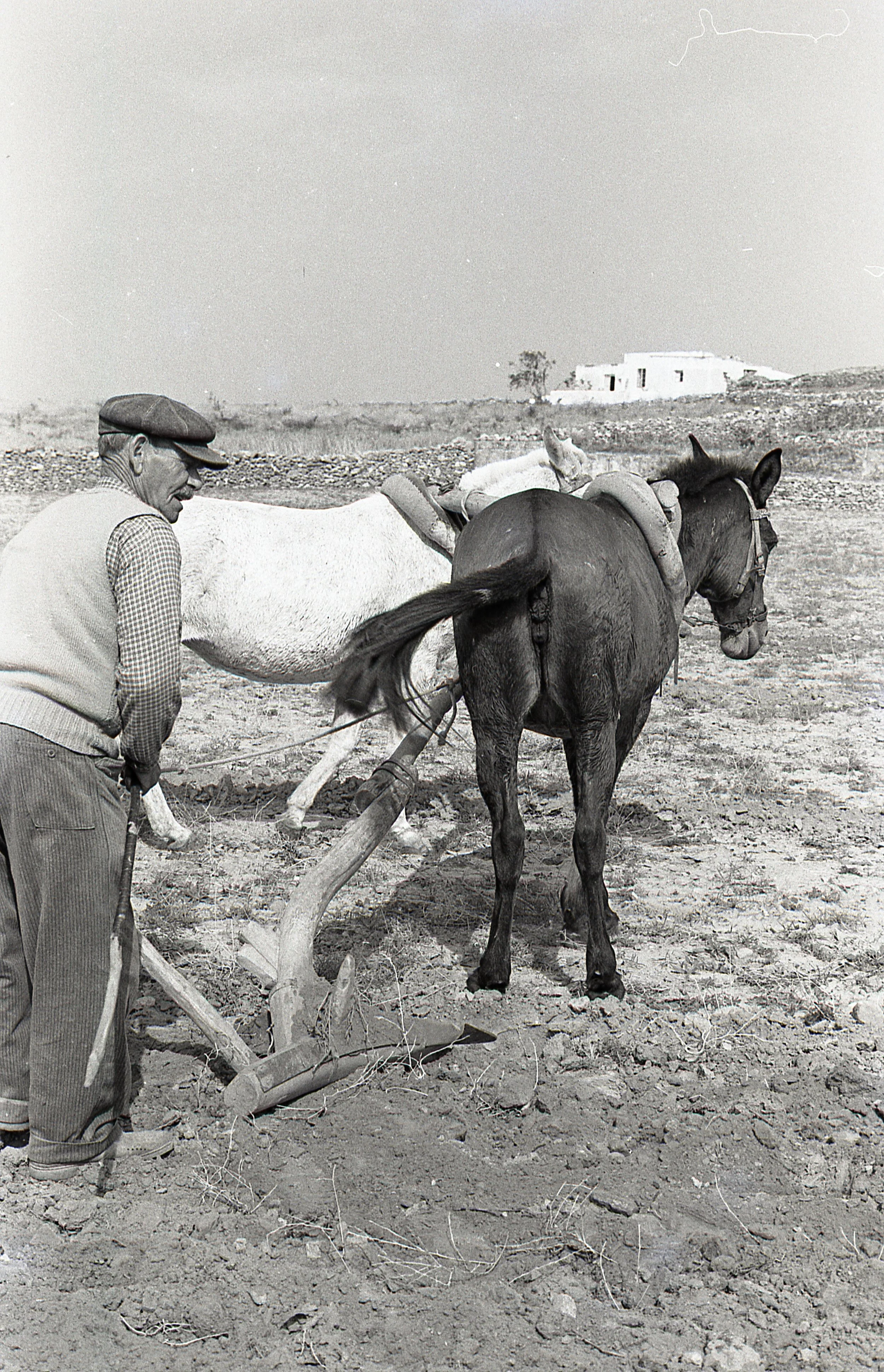 paros1977057.jpg