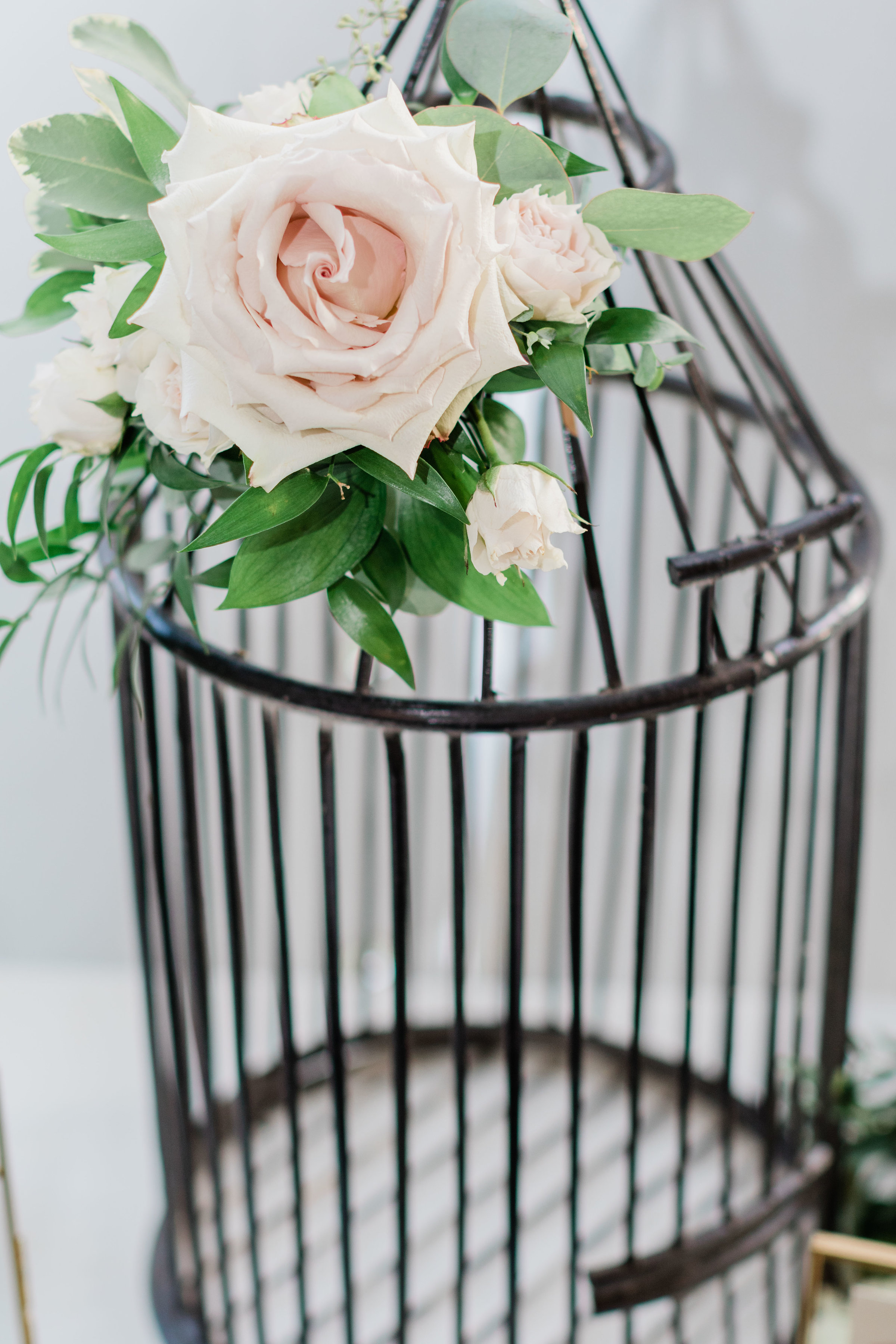 ElizabethMPhotographyElegantWashingtonDCWeddingBennyandAngela-6425.jpg