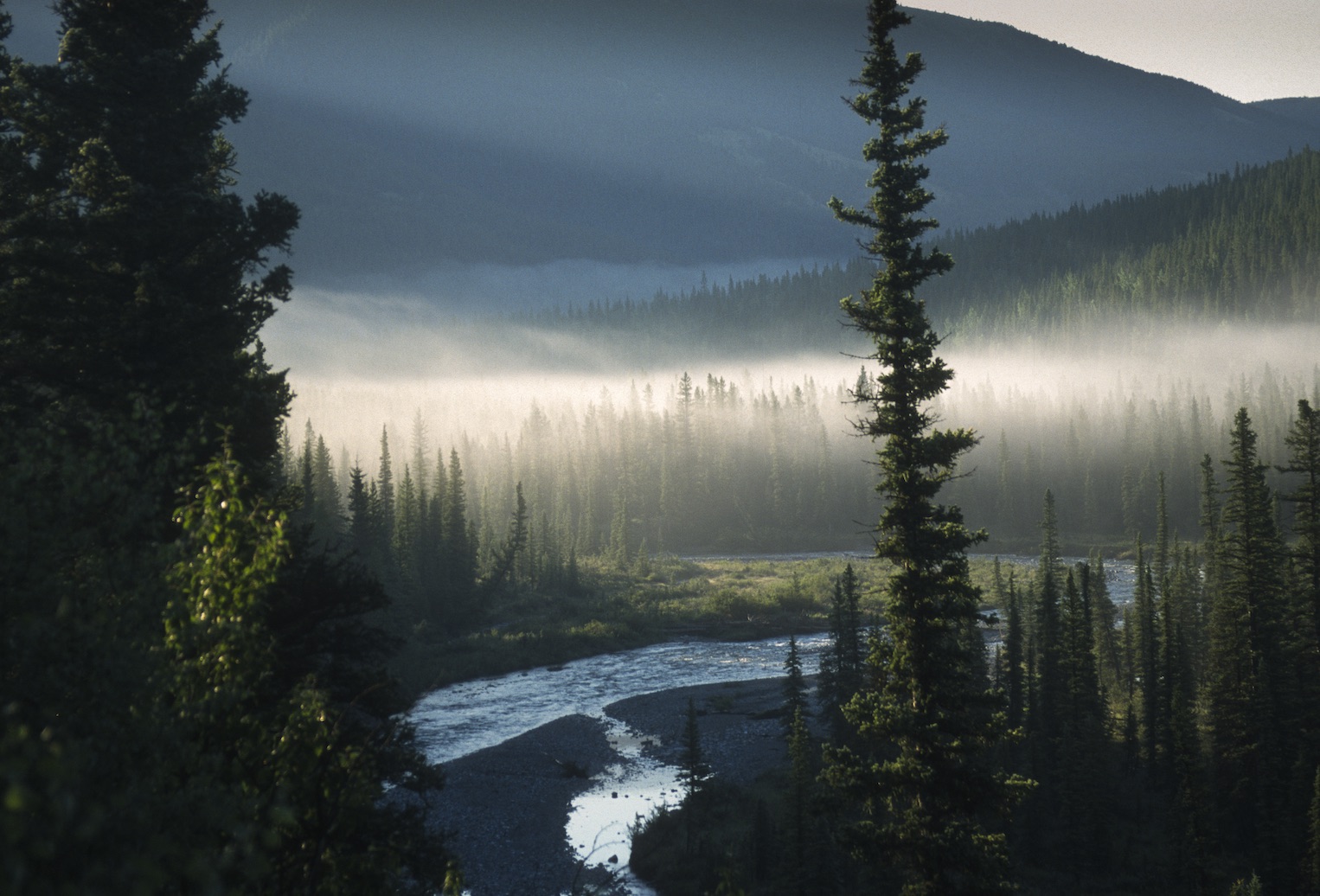 Thousands of people enjoy the Kananaskis landscape each year, but few of them know that it is not fully protected. Photo credit: Stephen Legault.