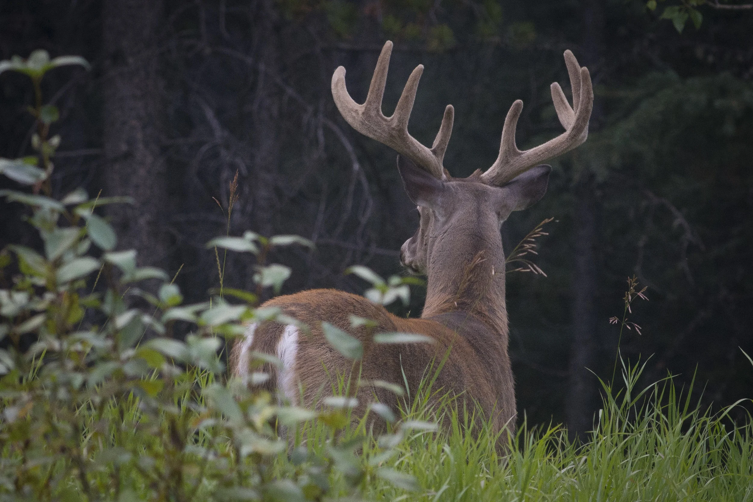 Photo credit: Stephen Legault.
