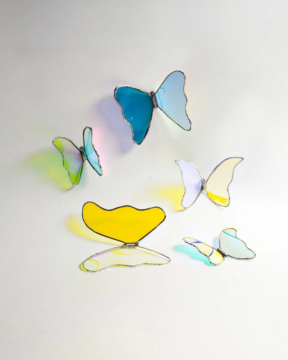 Dichroic Butterfies
