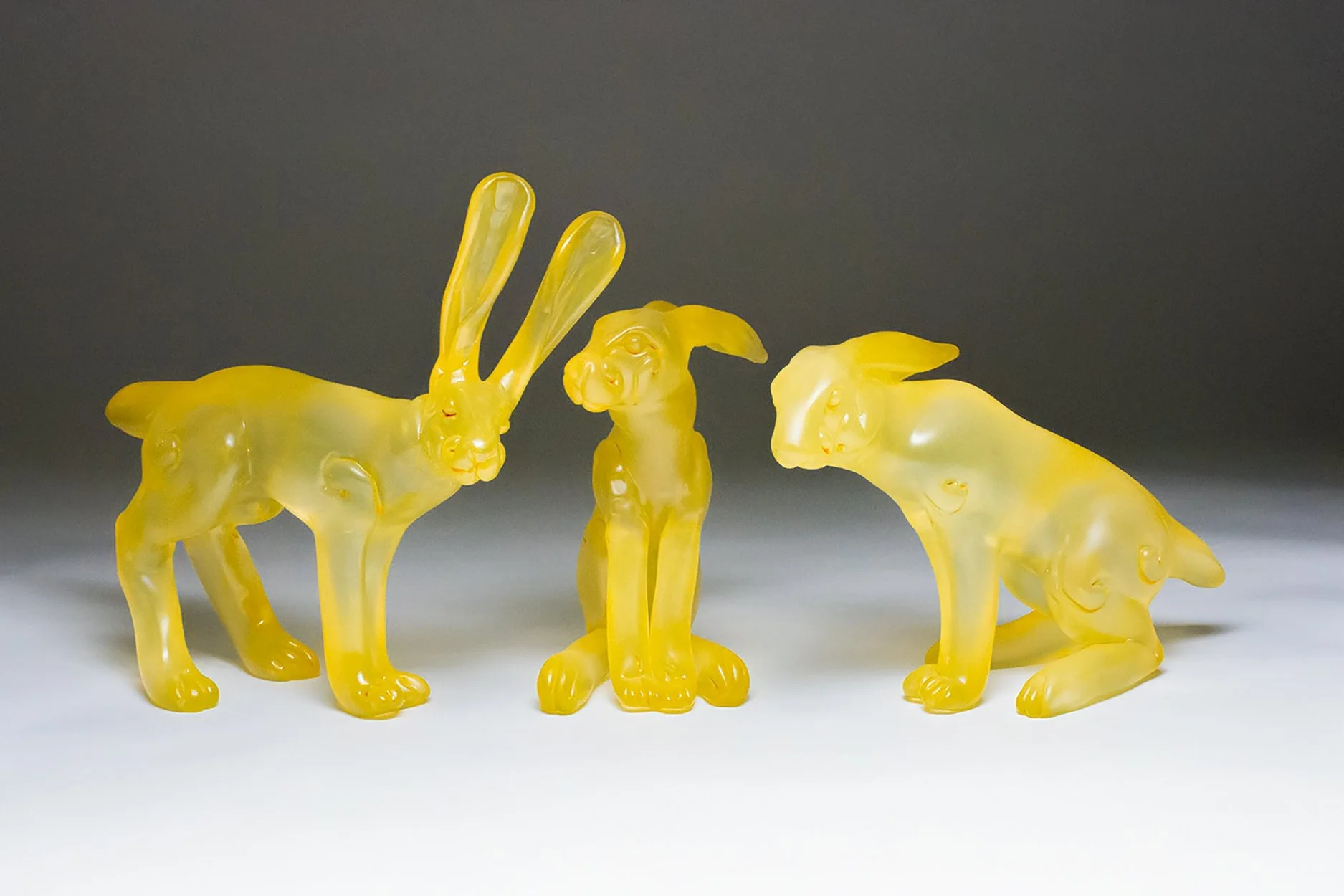 Ochre Hares