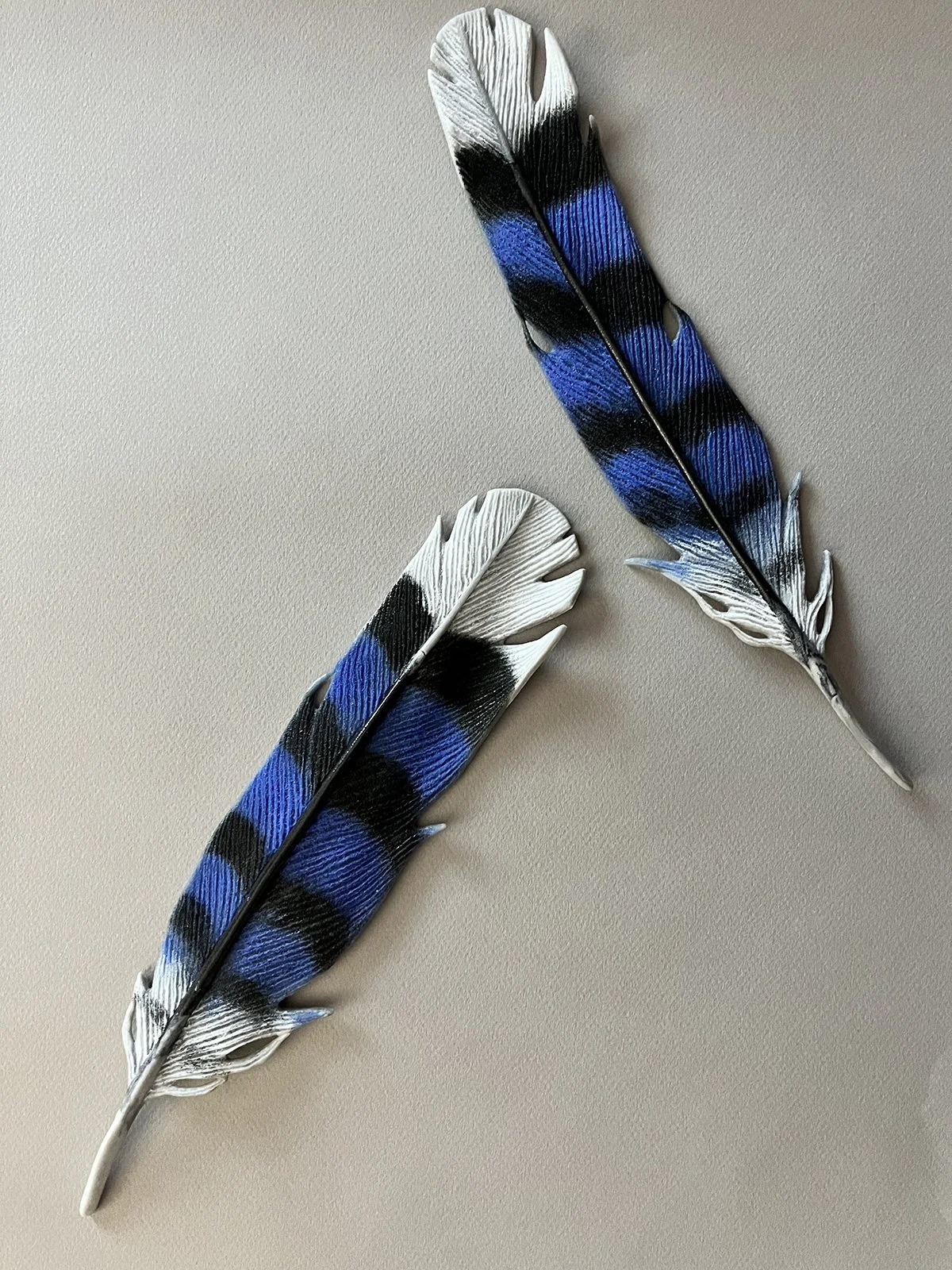 Blue Jay pair.web.jpg