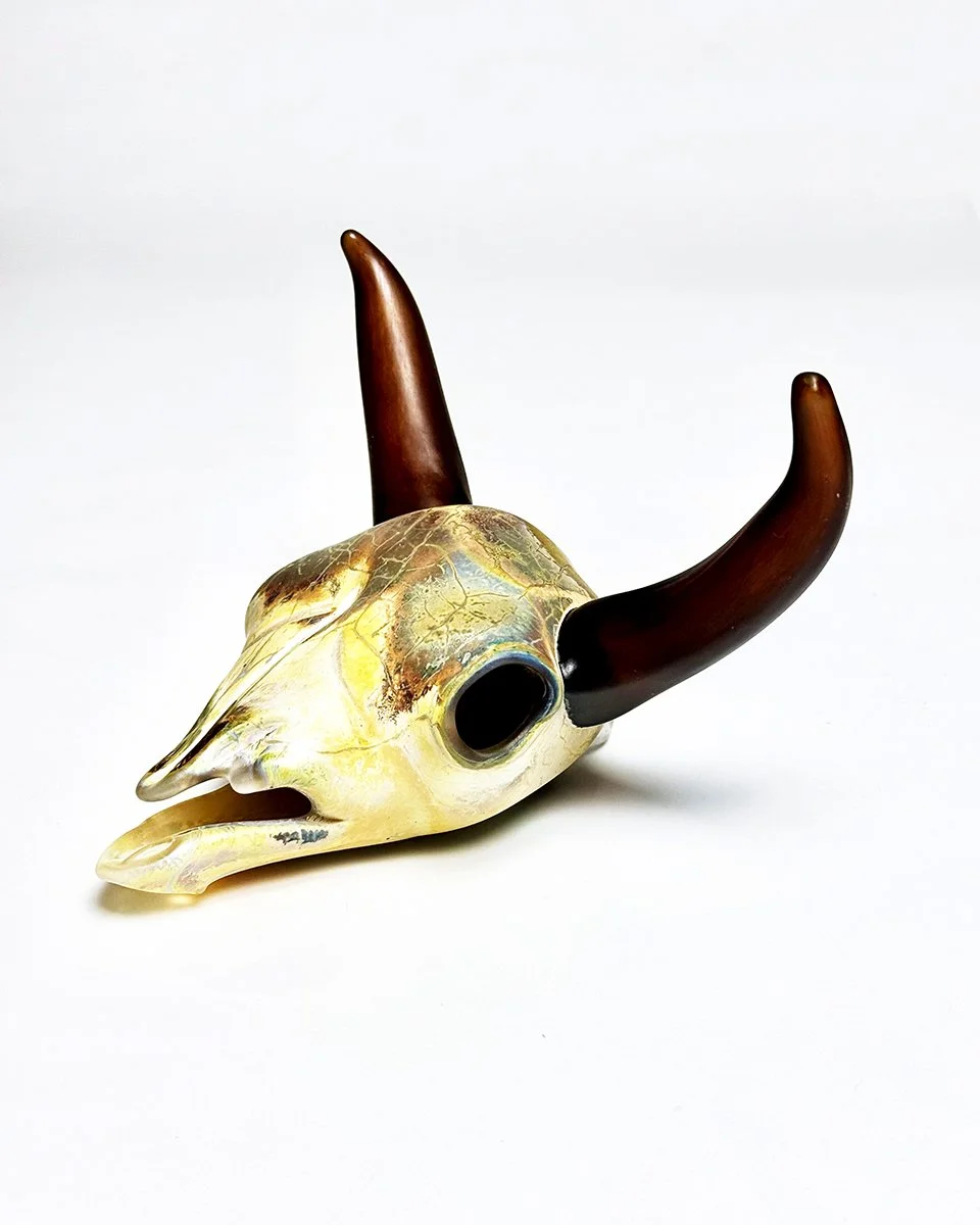 Desert Cow Skull
