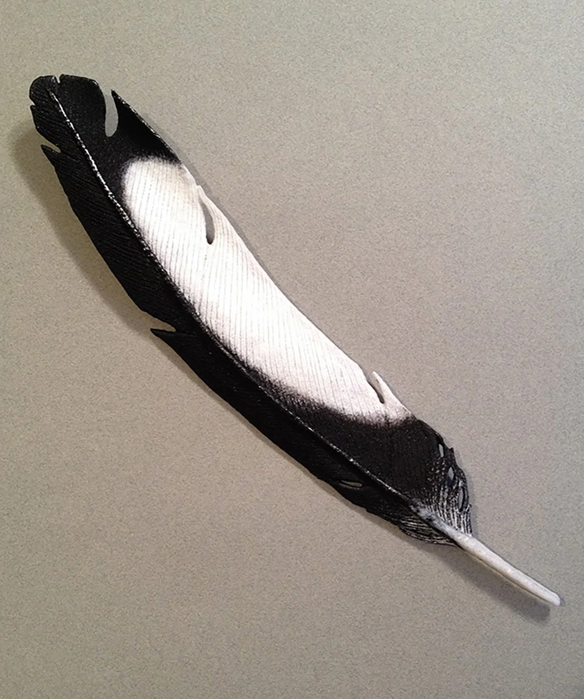 Magpie 11.5-inch.web.jpg