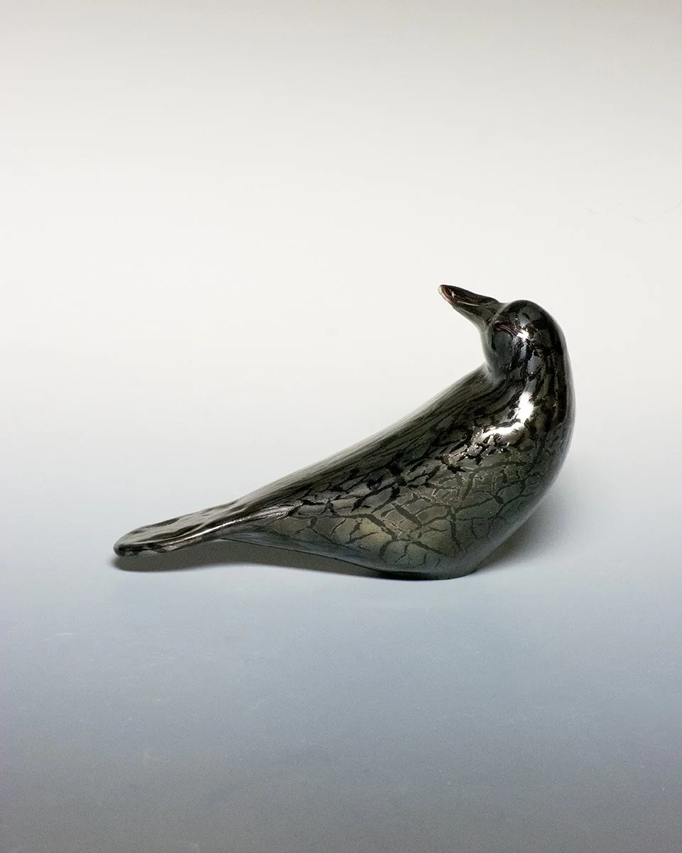 Black Crackled Raven