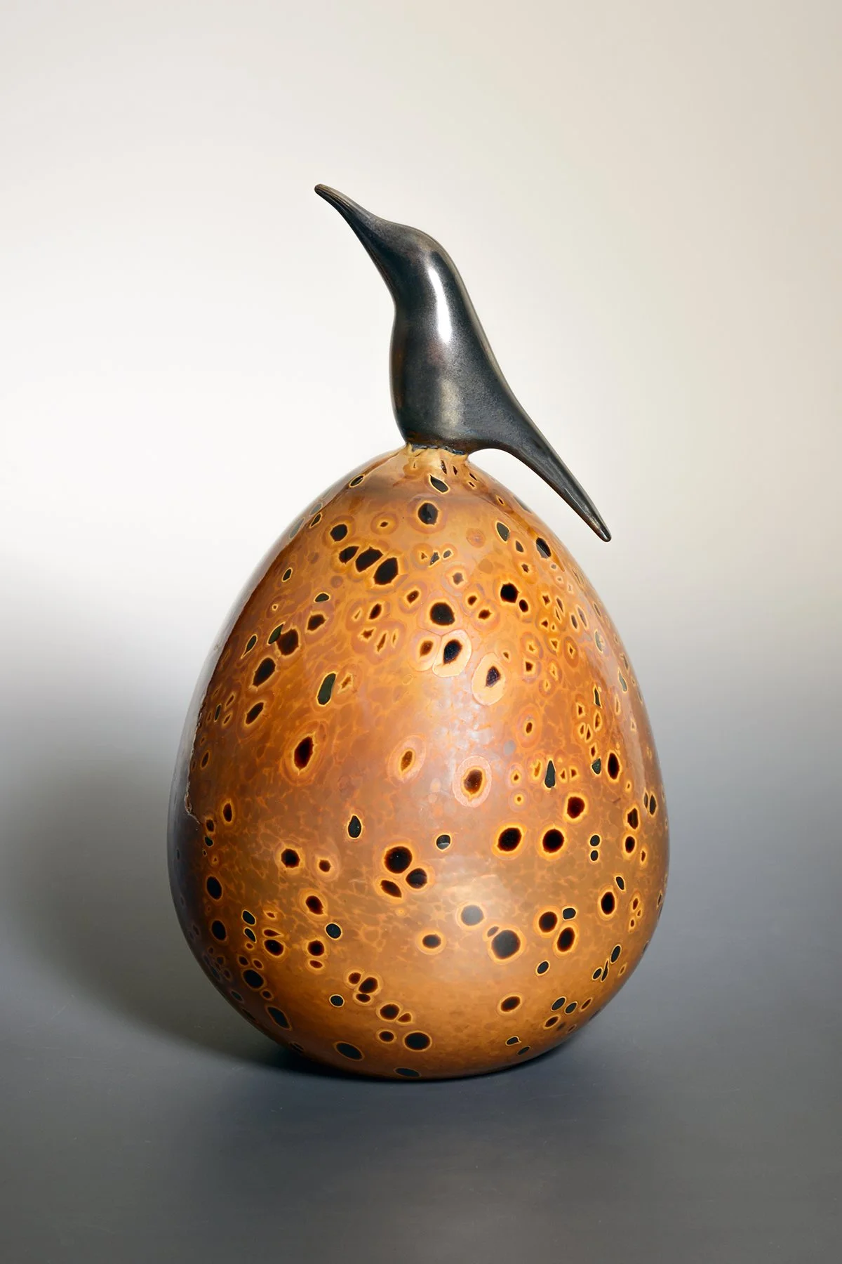 Black Honey Creeper and Brown Speckled Egg