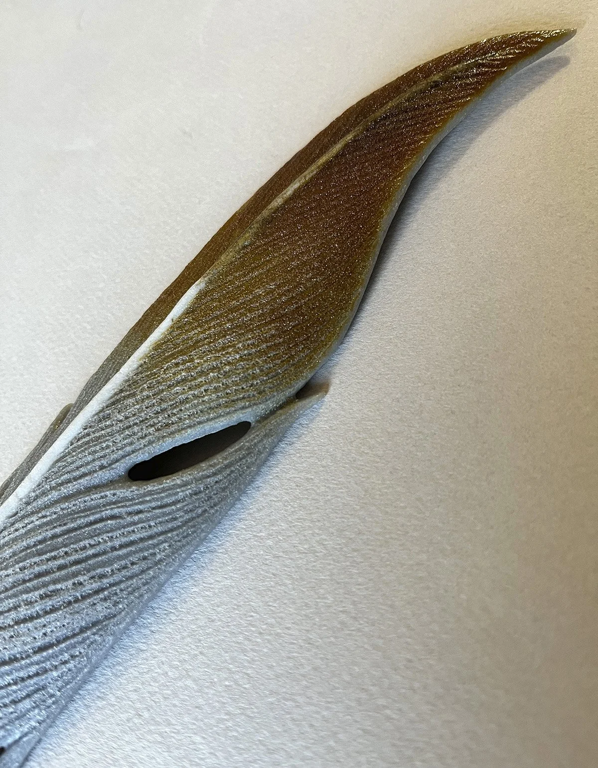 Large Sandhill Crane feather detail.web.jpg