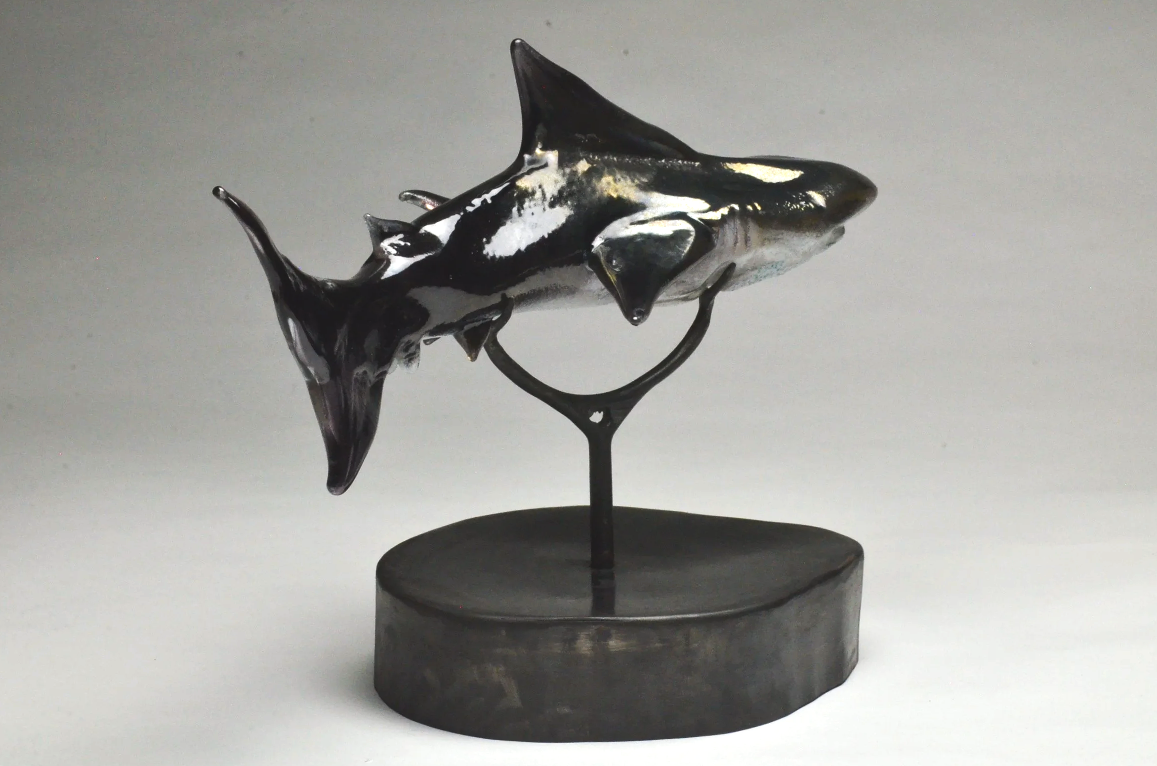 Bull+Shark+-19%2522Lx10%2522Wx14%2522H+-5.png